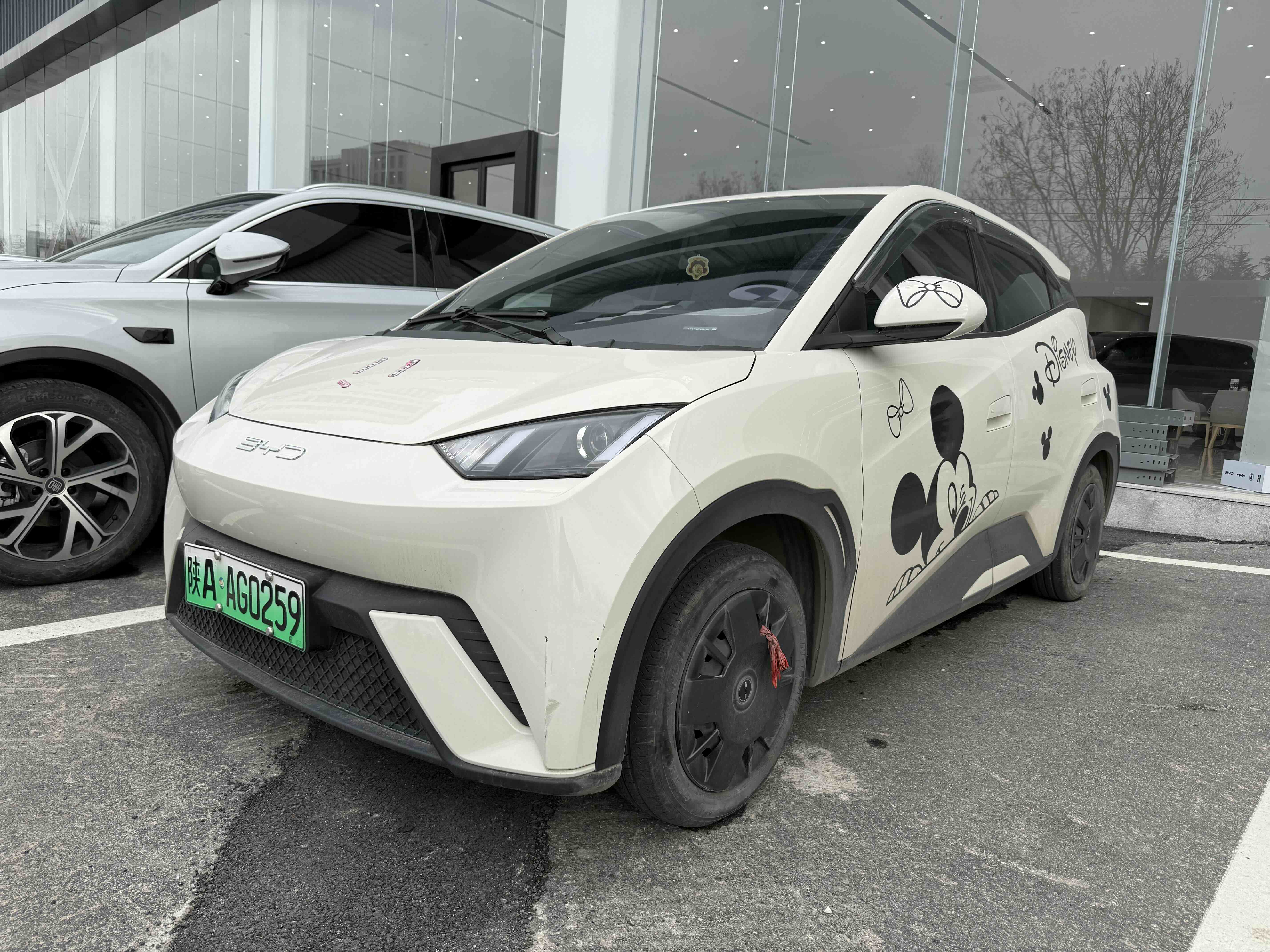 BYD Seagull 2023 immagine di auto 