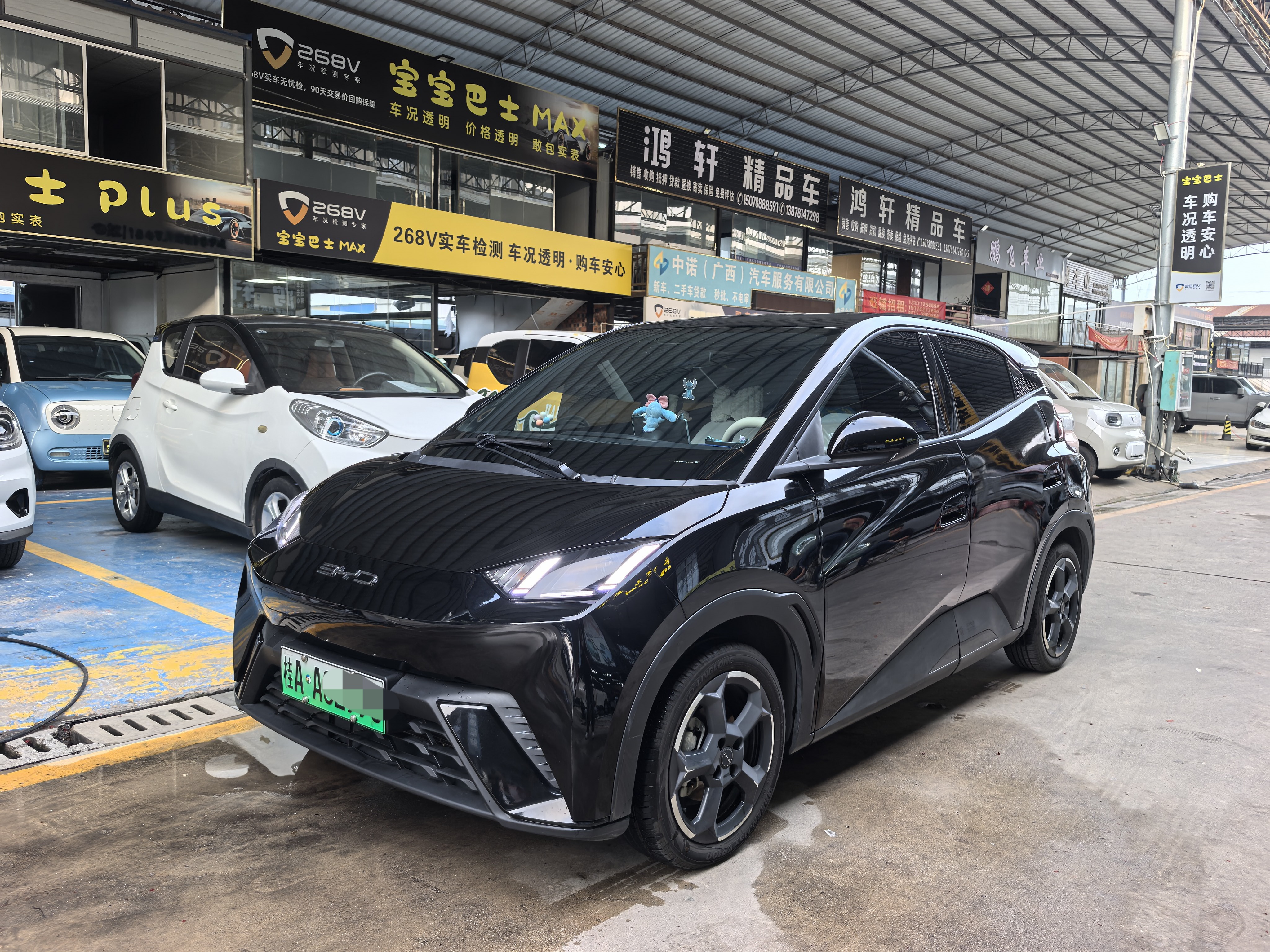 BYD Seagull 2023 immagine di auto 