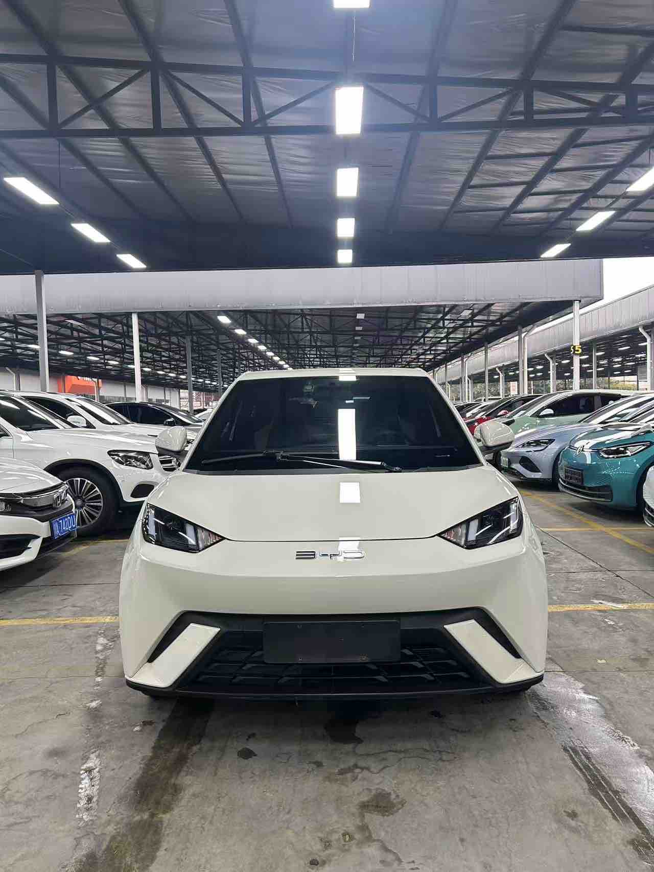 BYD Seagull 2024 immagine di auto 