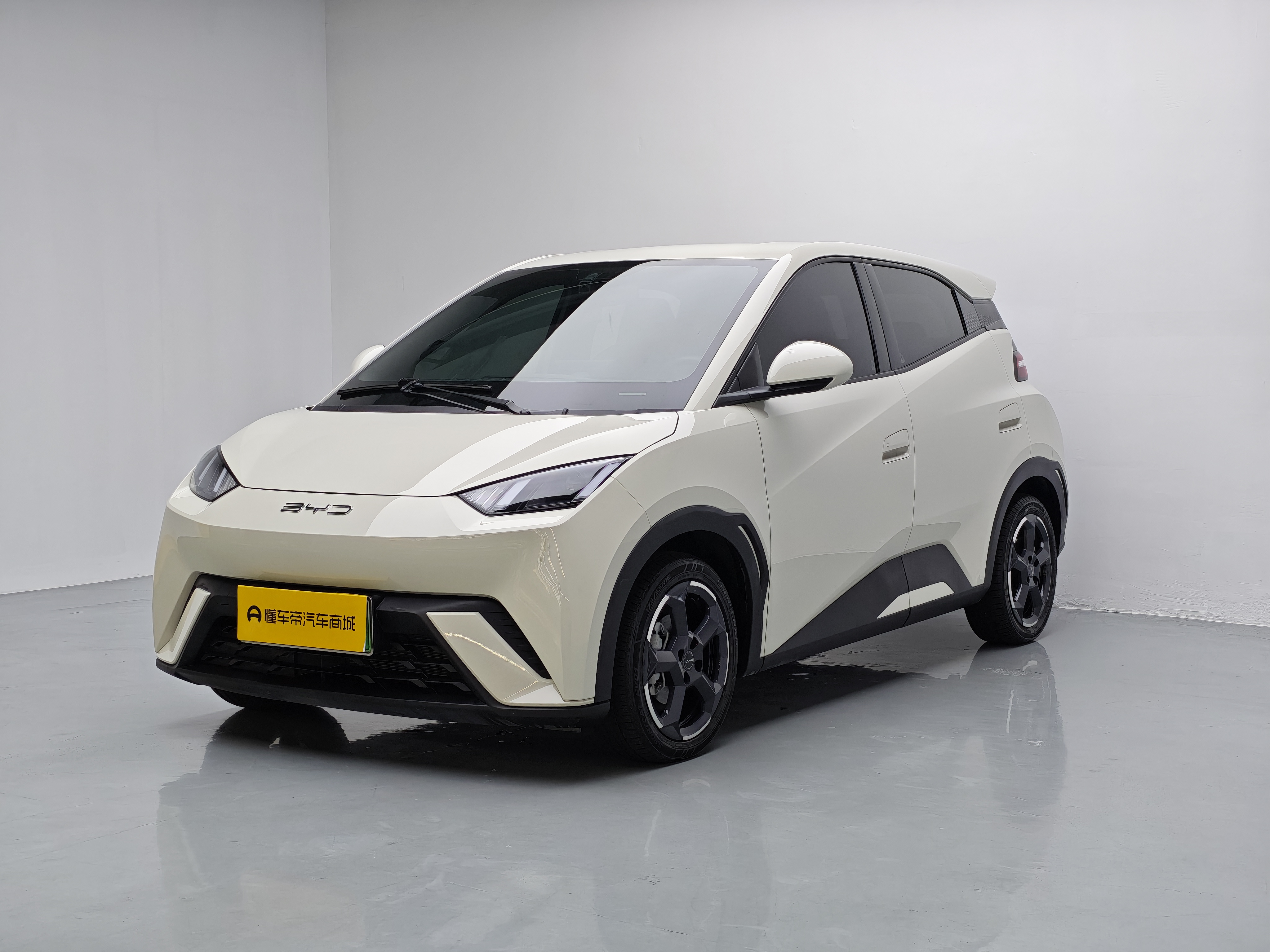 BYD Seagull 2024 immagine di auto 