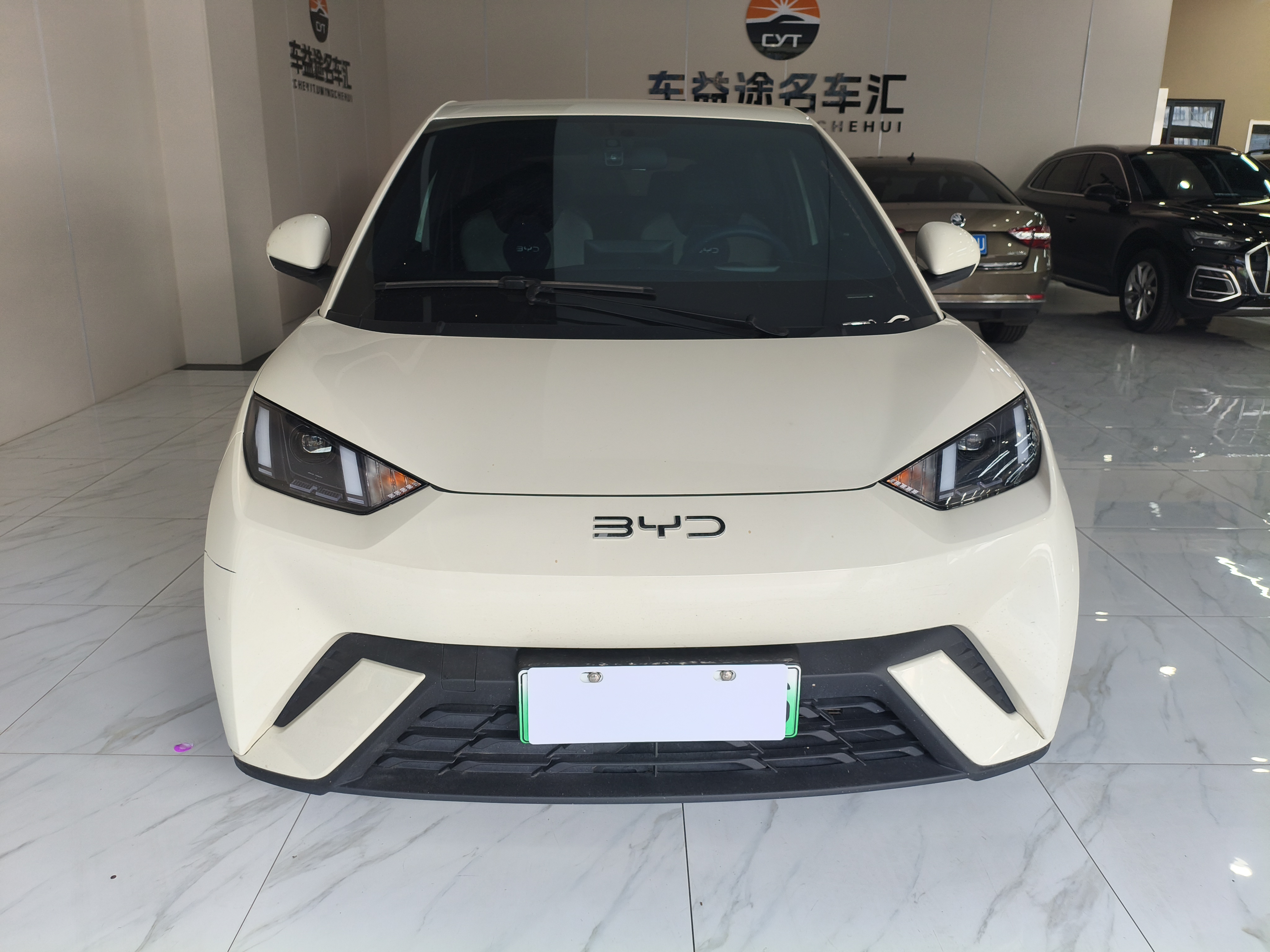 BYD Seagull 2024 car image 