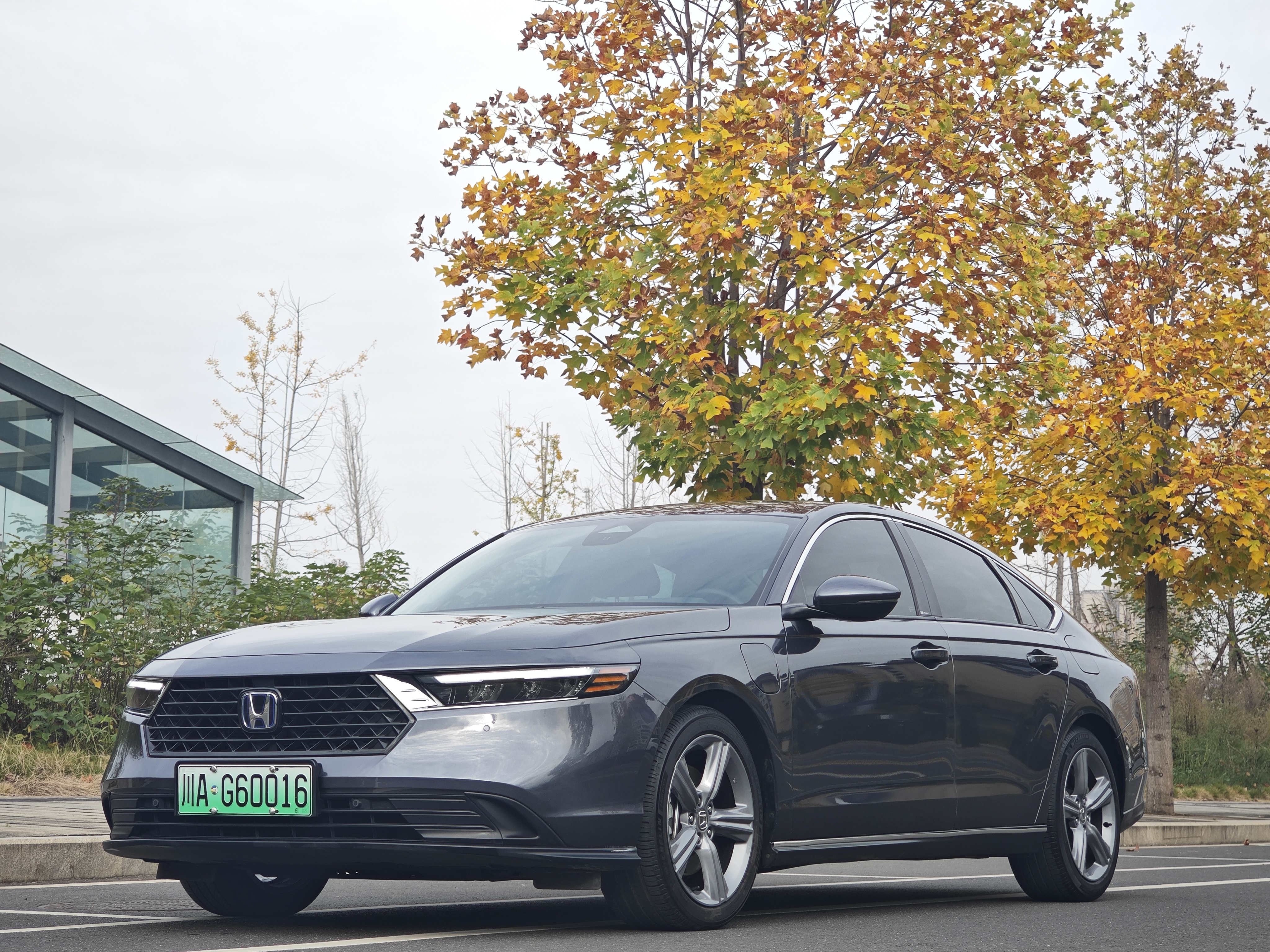 Honda Accord New Energy 2024 car image 