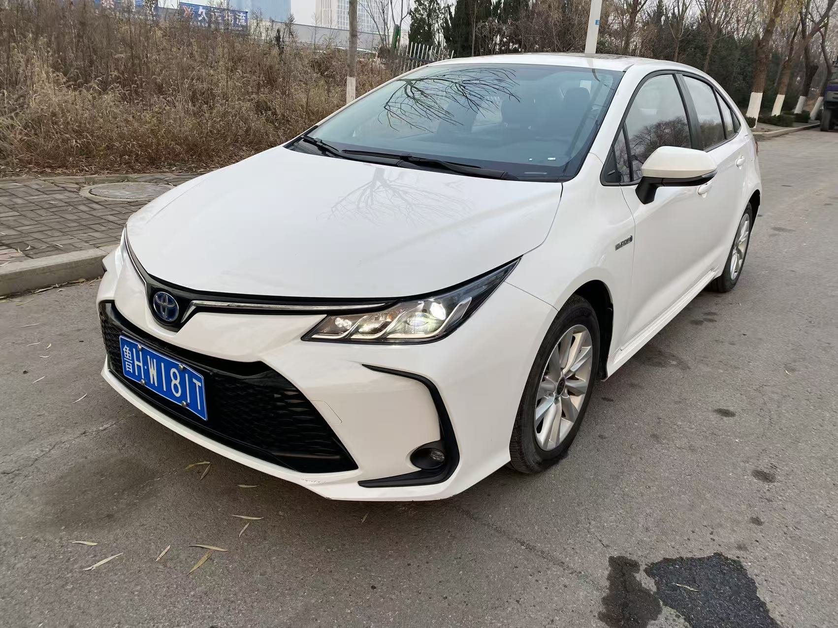 Corolla 2023 car image 