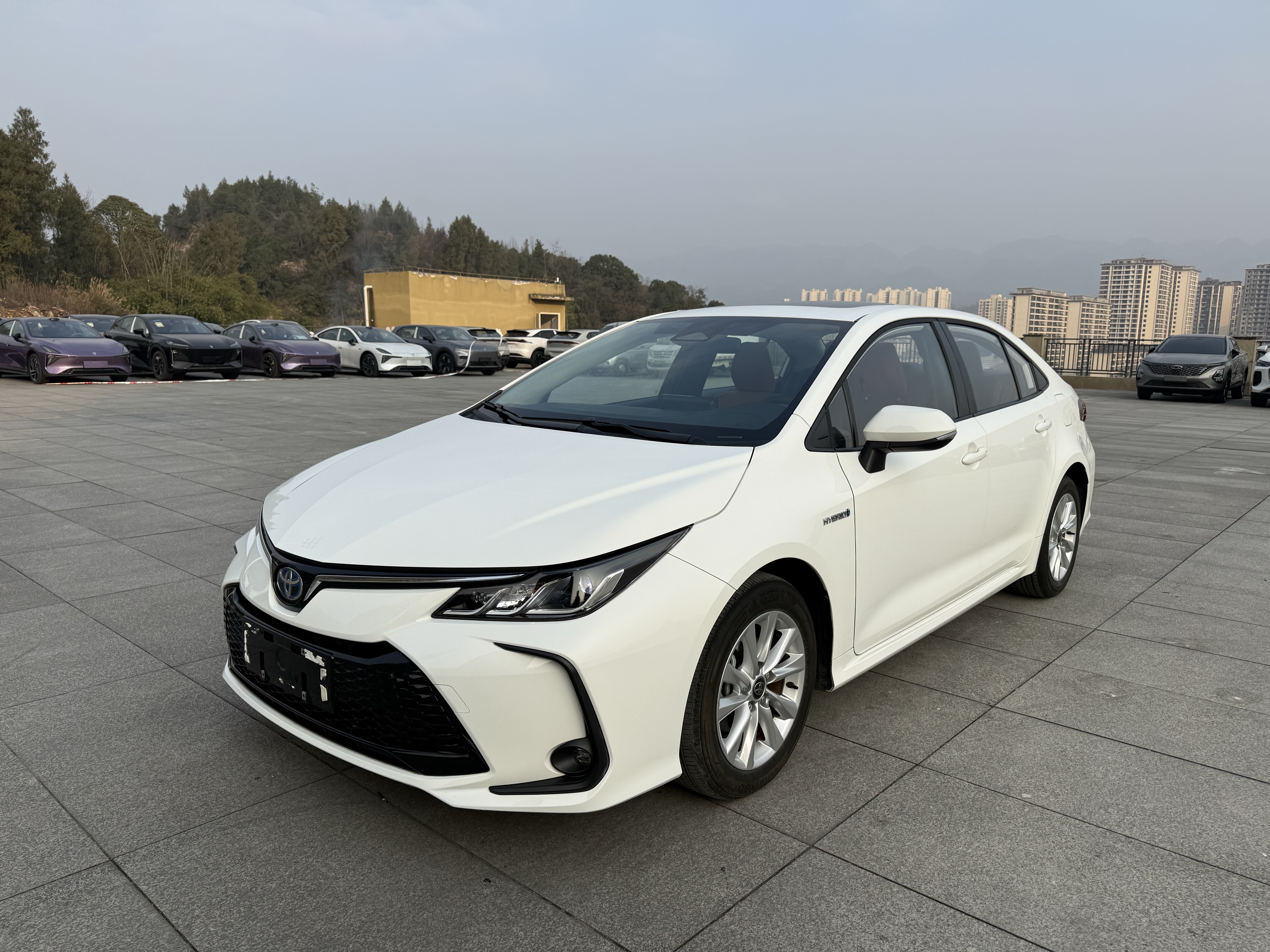 Toyota Corolla 2023 Toyota Corolla 2023 car image