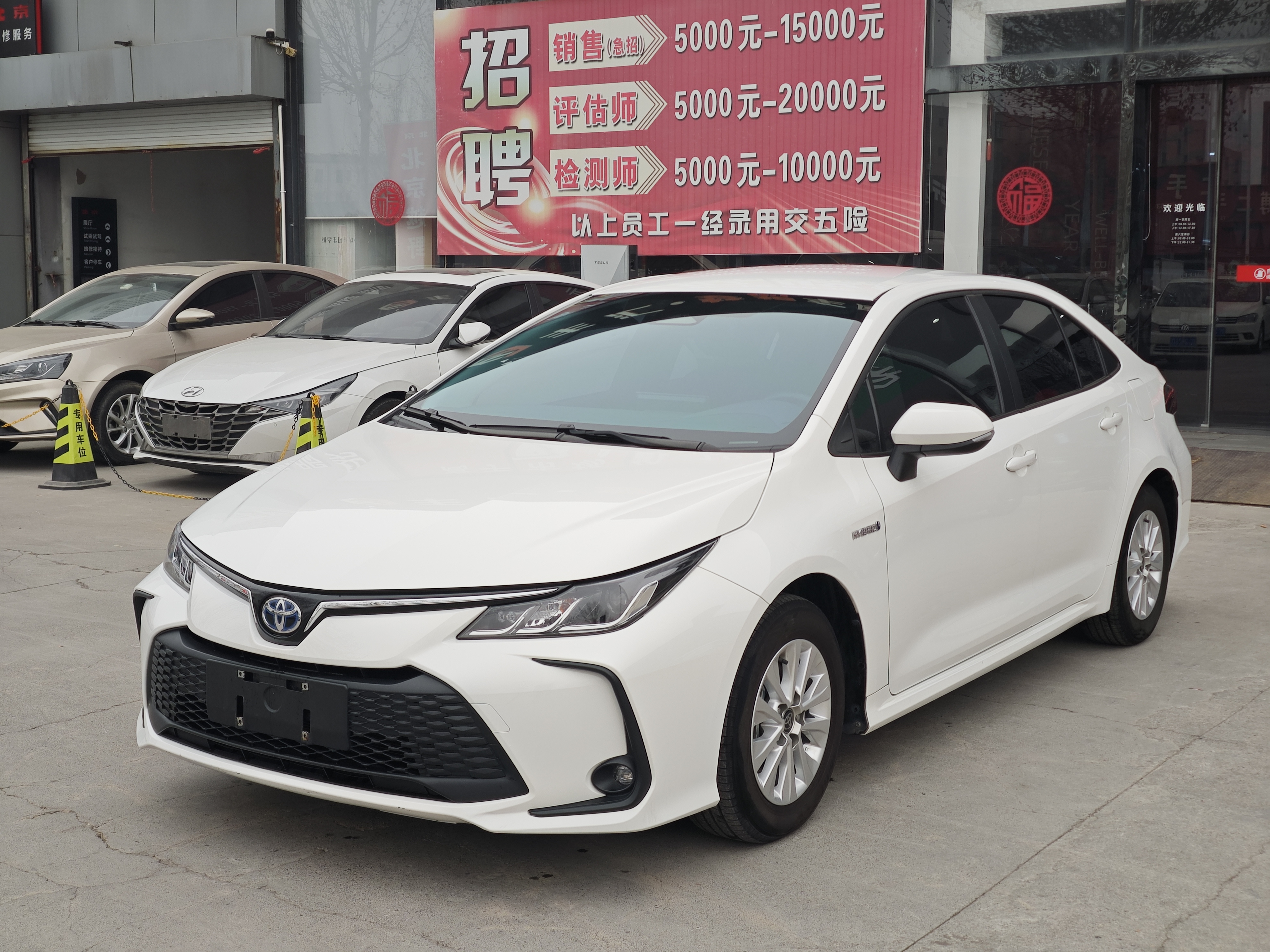 Toyota Corolla 2024 Toyota Corolla 2024 car image