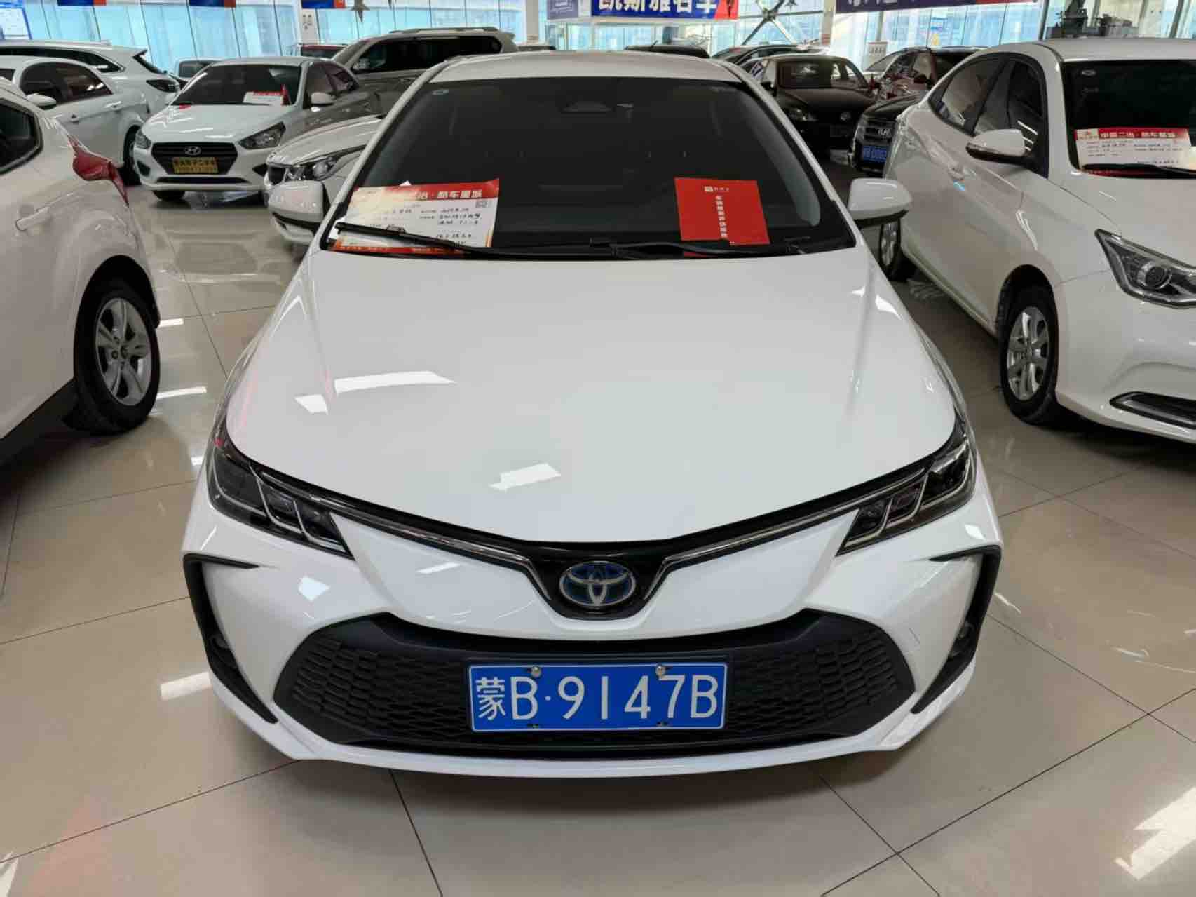 Toyota Corolla 2024 car image 