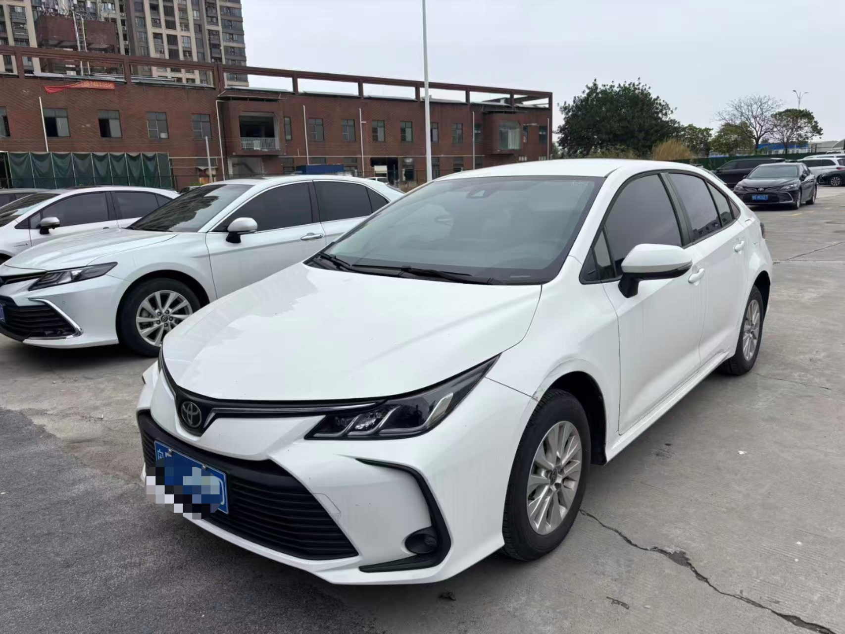 Corolla 2024 Corolla 2024 immagine di auto