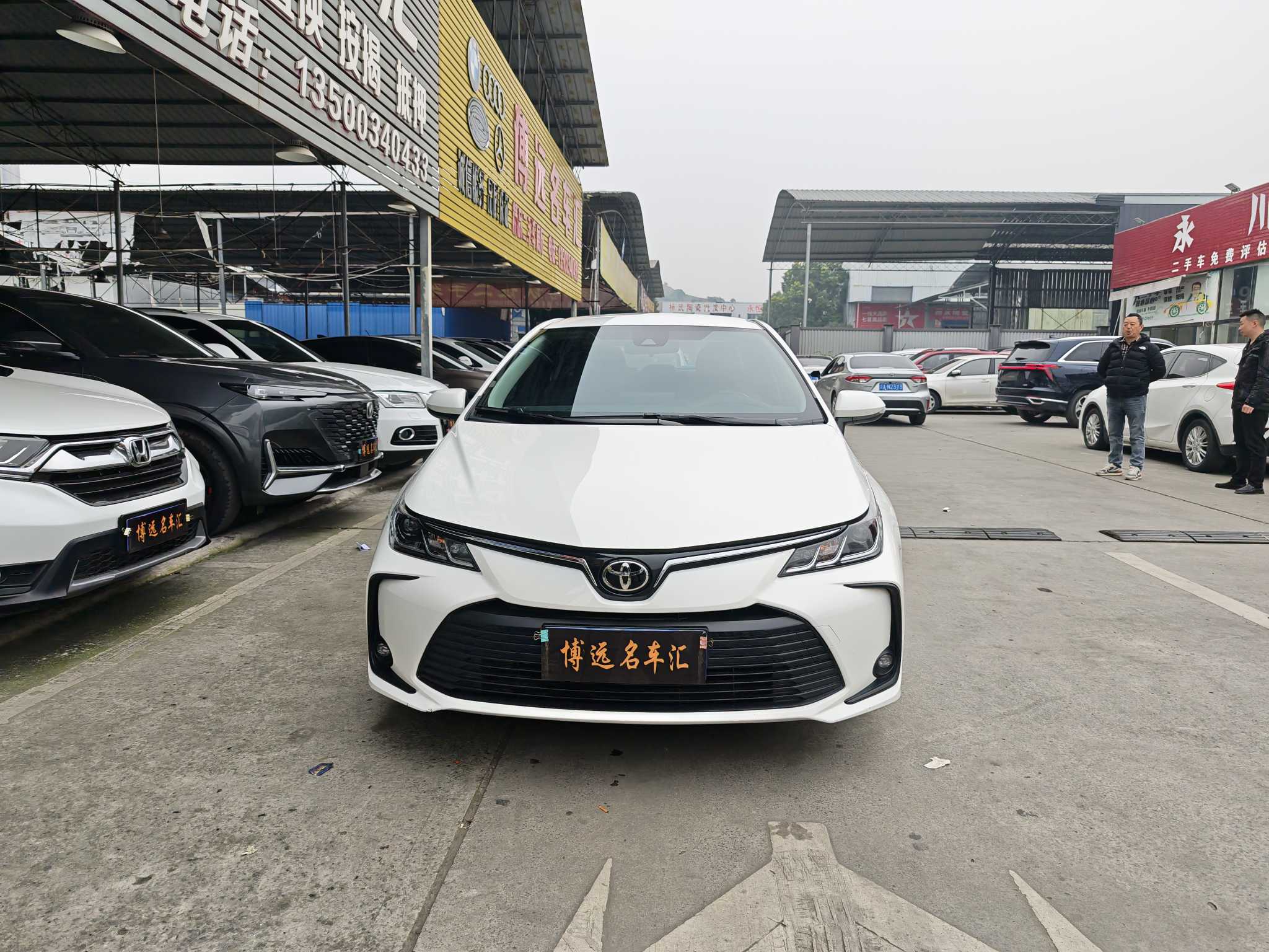 Corolla 2024 Corolla 2024 immagine di auto