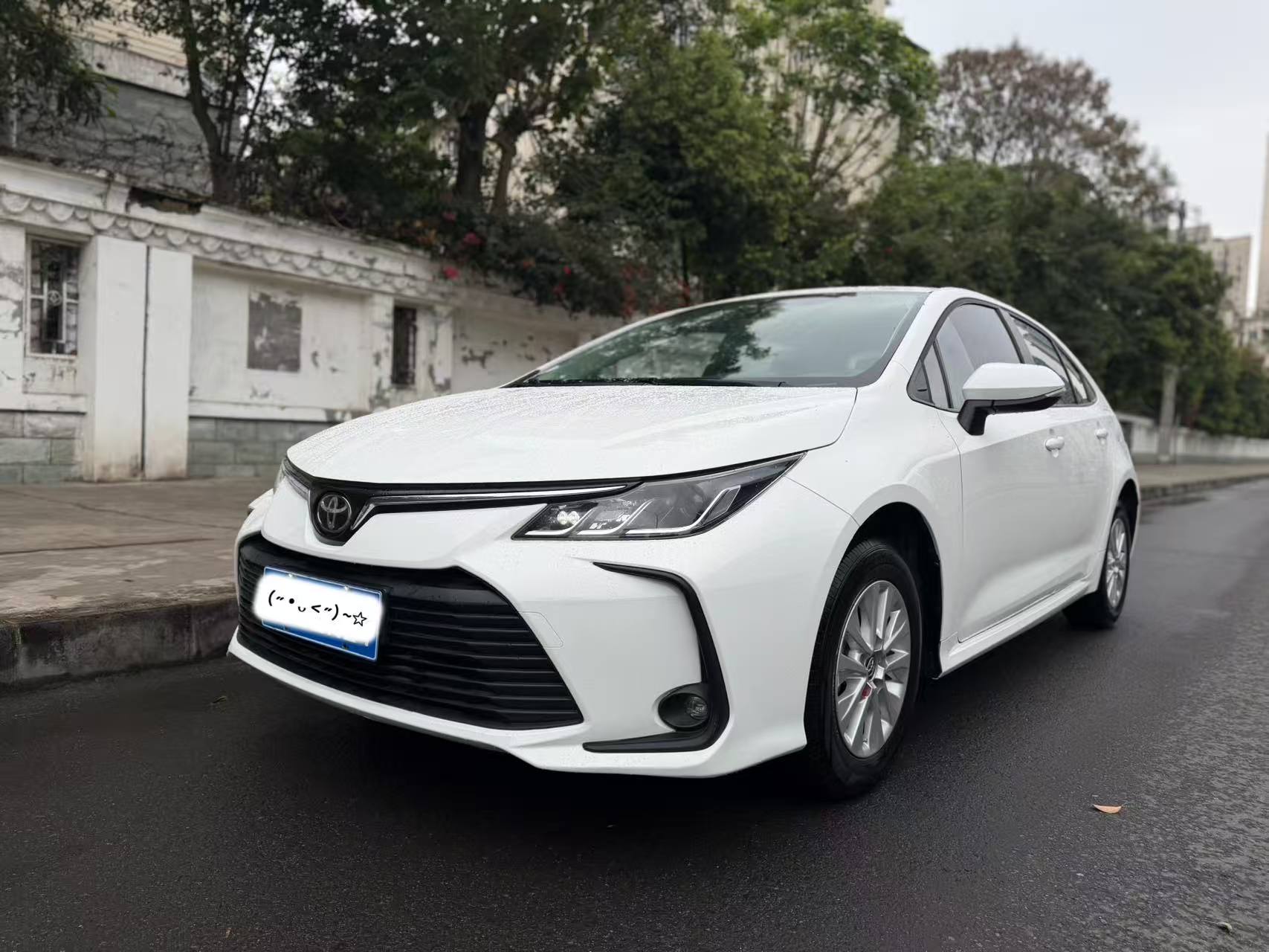 Corolla 2023 car image 