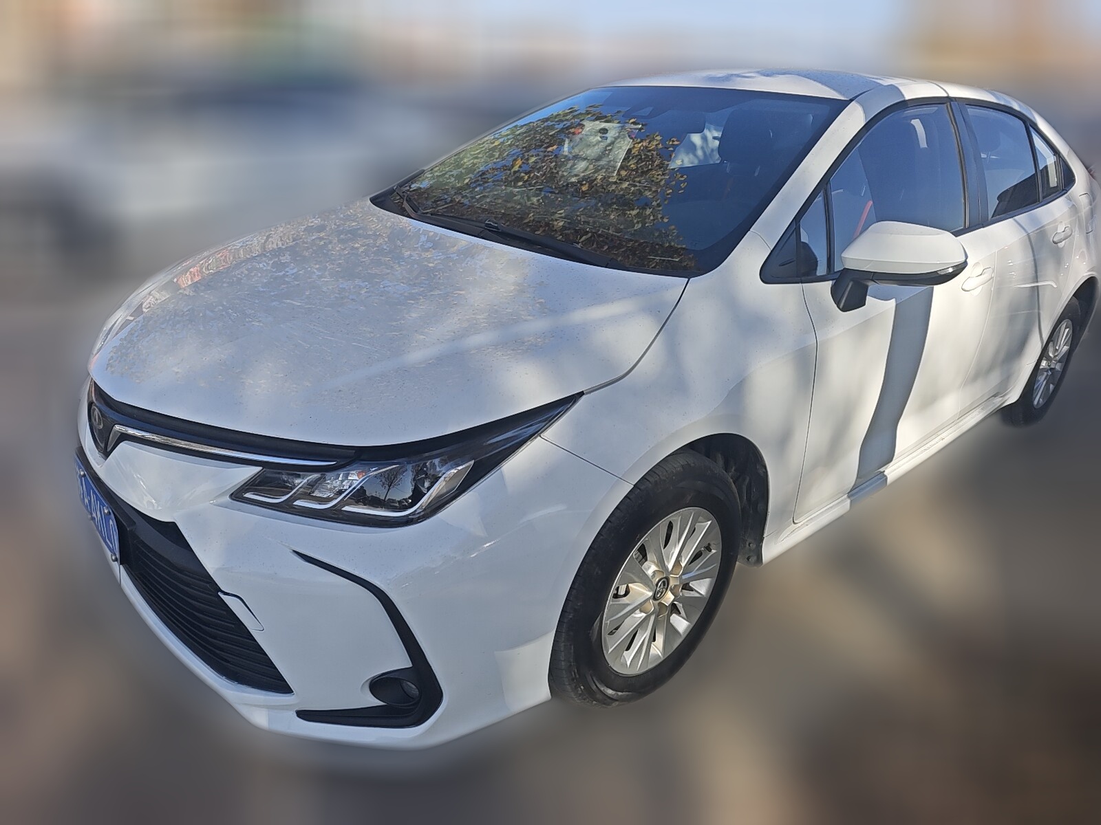 丰田 卡罗拉 2023 汽车图片 