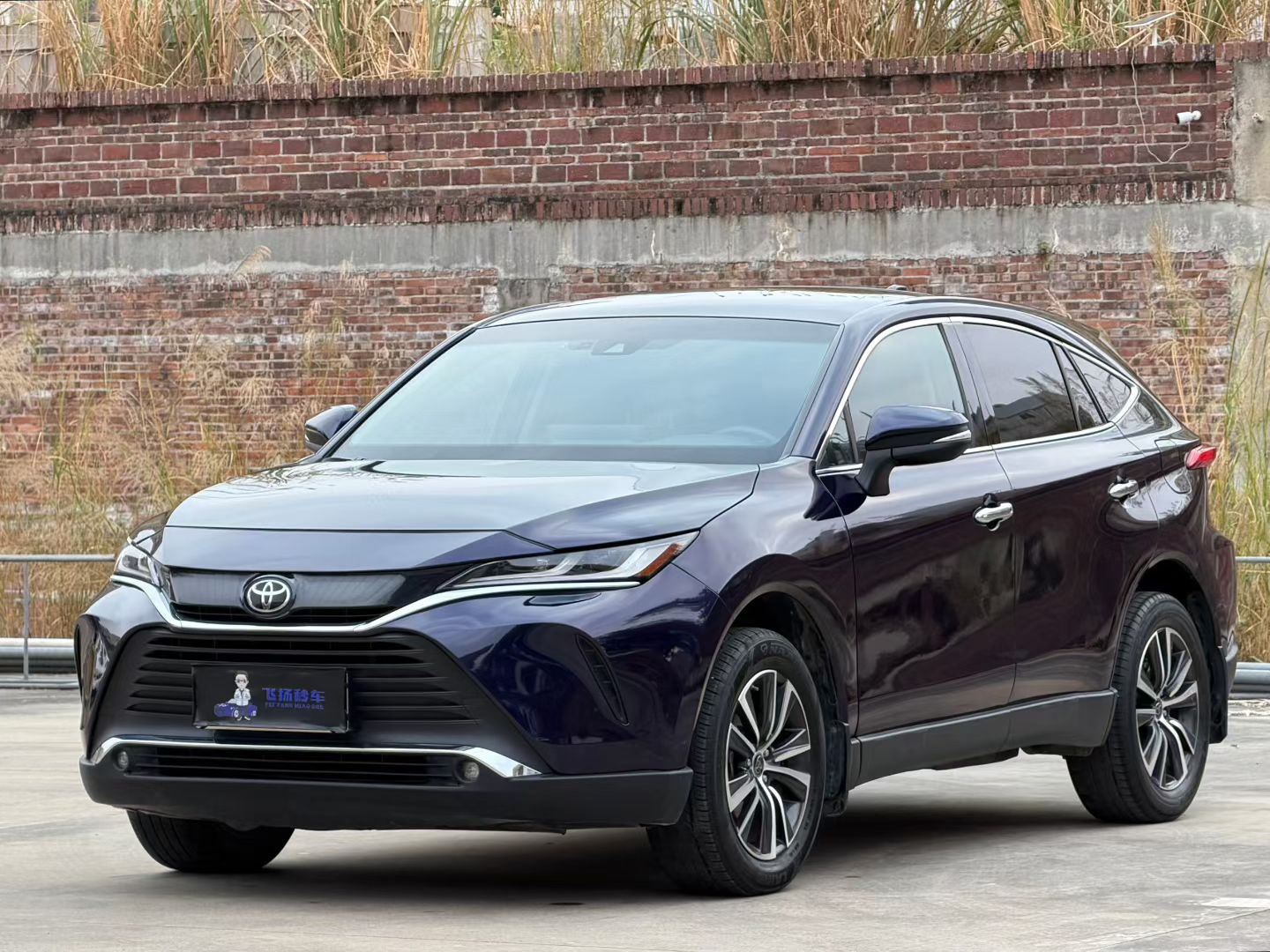 Toyota Harrier 2022 汽车图片 