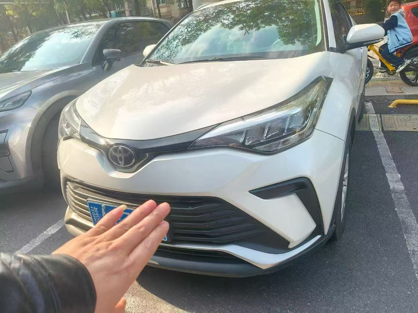 Toyota Izoa 2025 汽车图片 