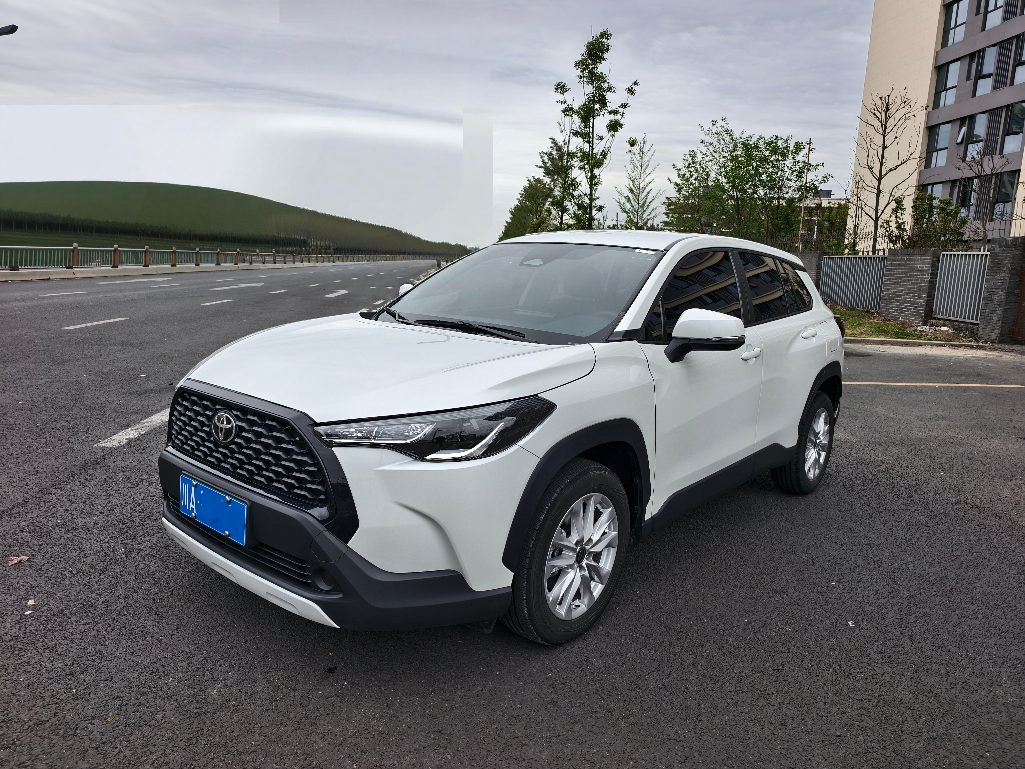 Corolla Cross 2023 car image 