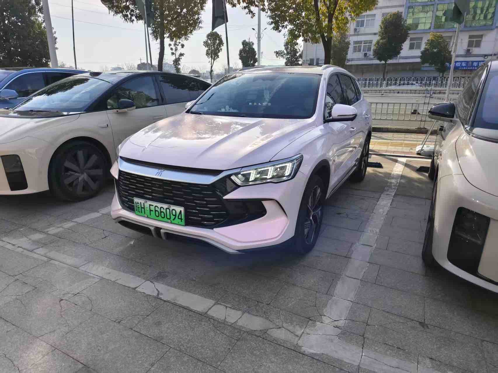 BYD Song Pro New Energy 2024 car image 