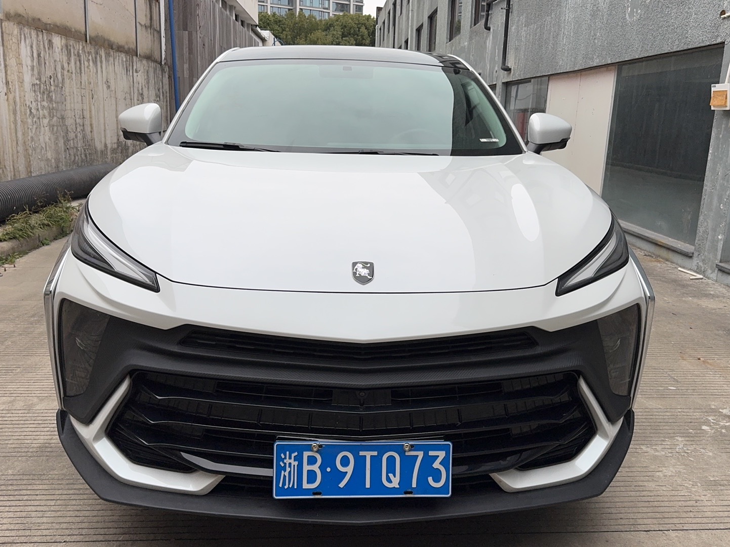 Forthing T5 EVO 2024 汽车图片 