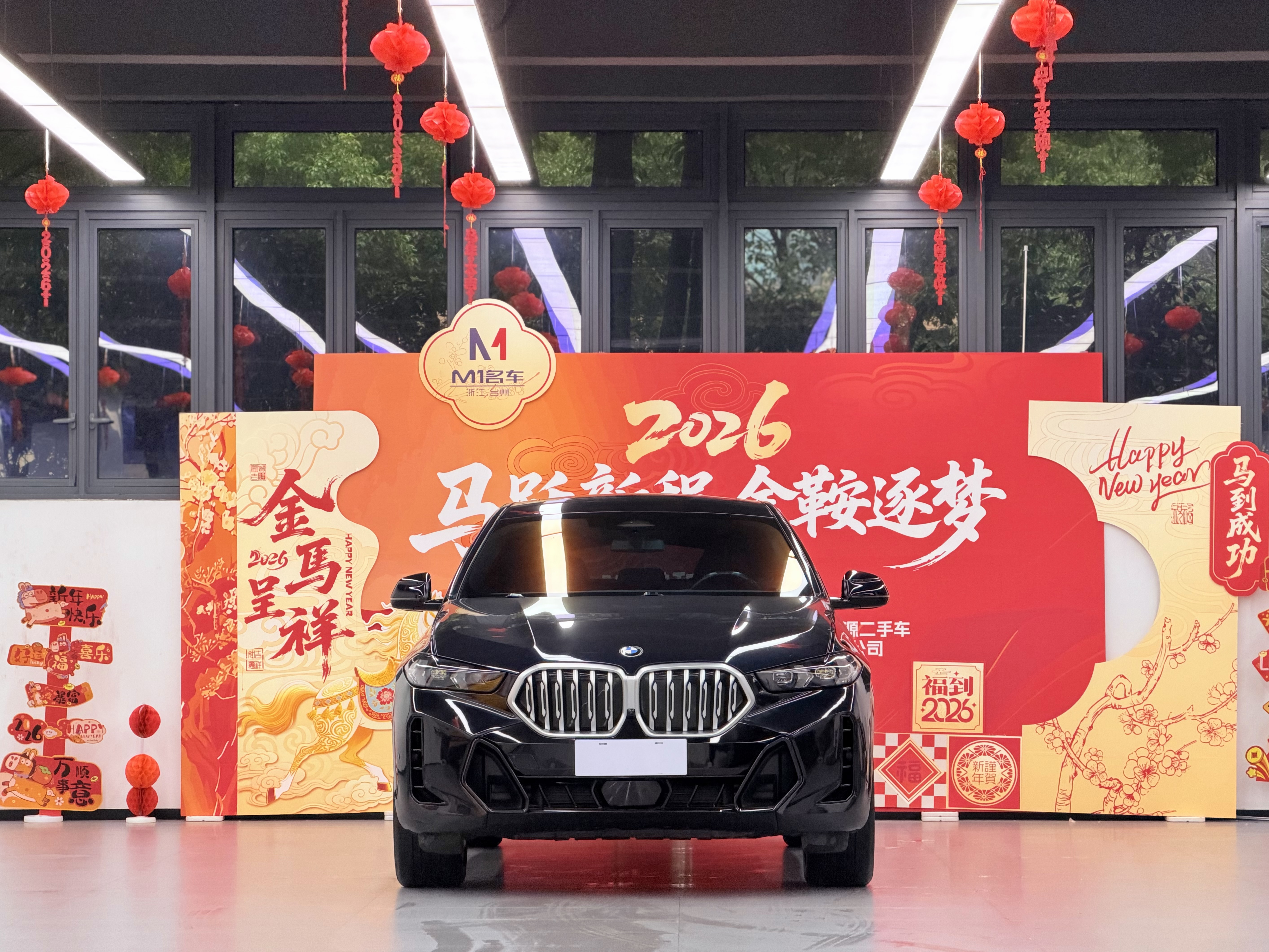 BMW X6 2023 car image 