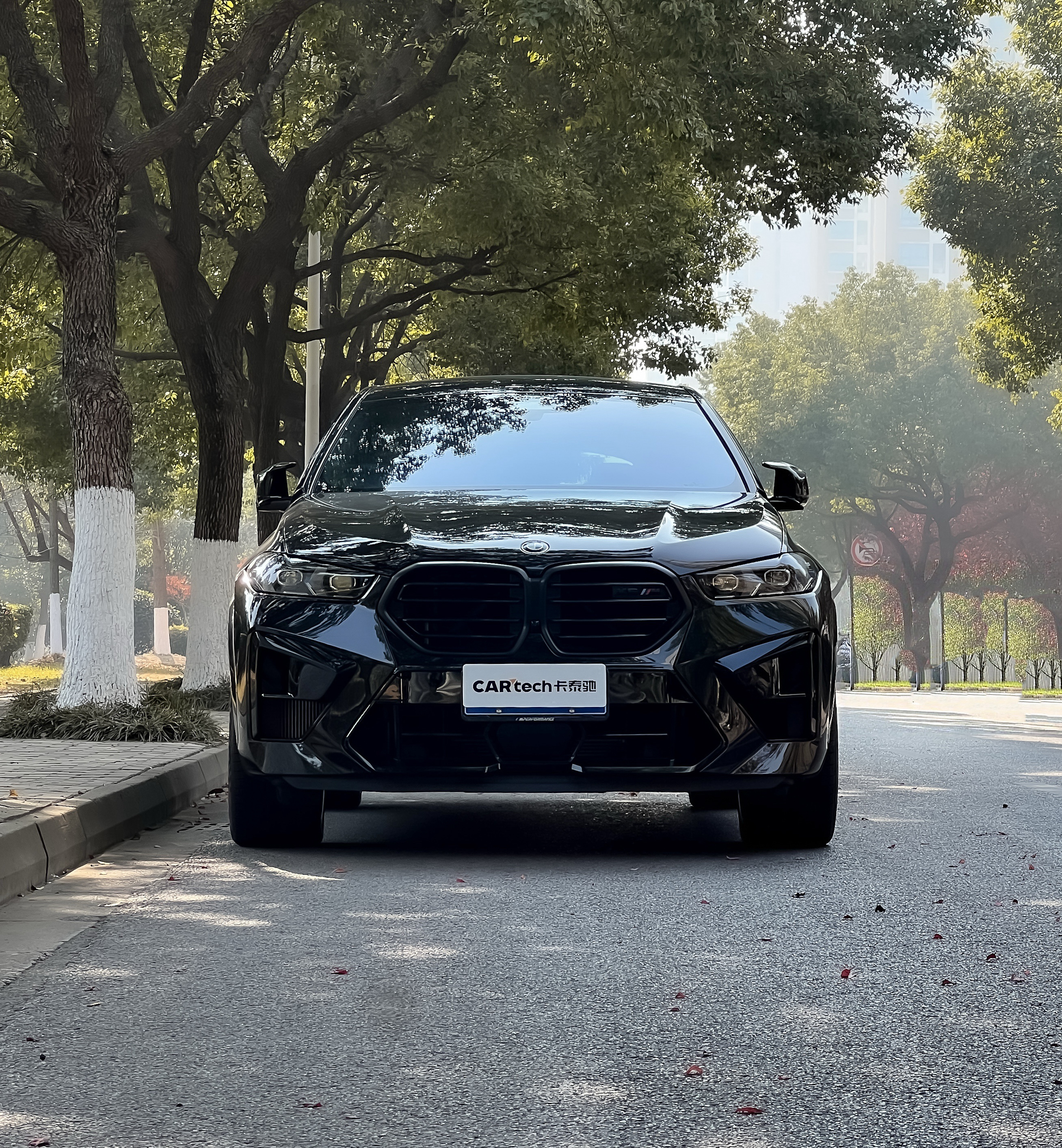 Exceed X6 M 2023 Exceed X6 M 2023 car image
