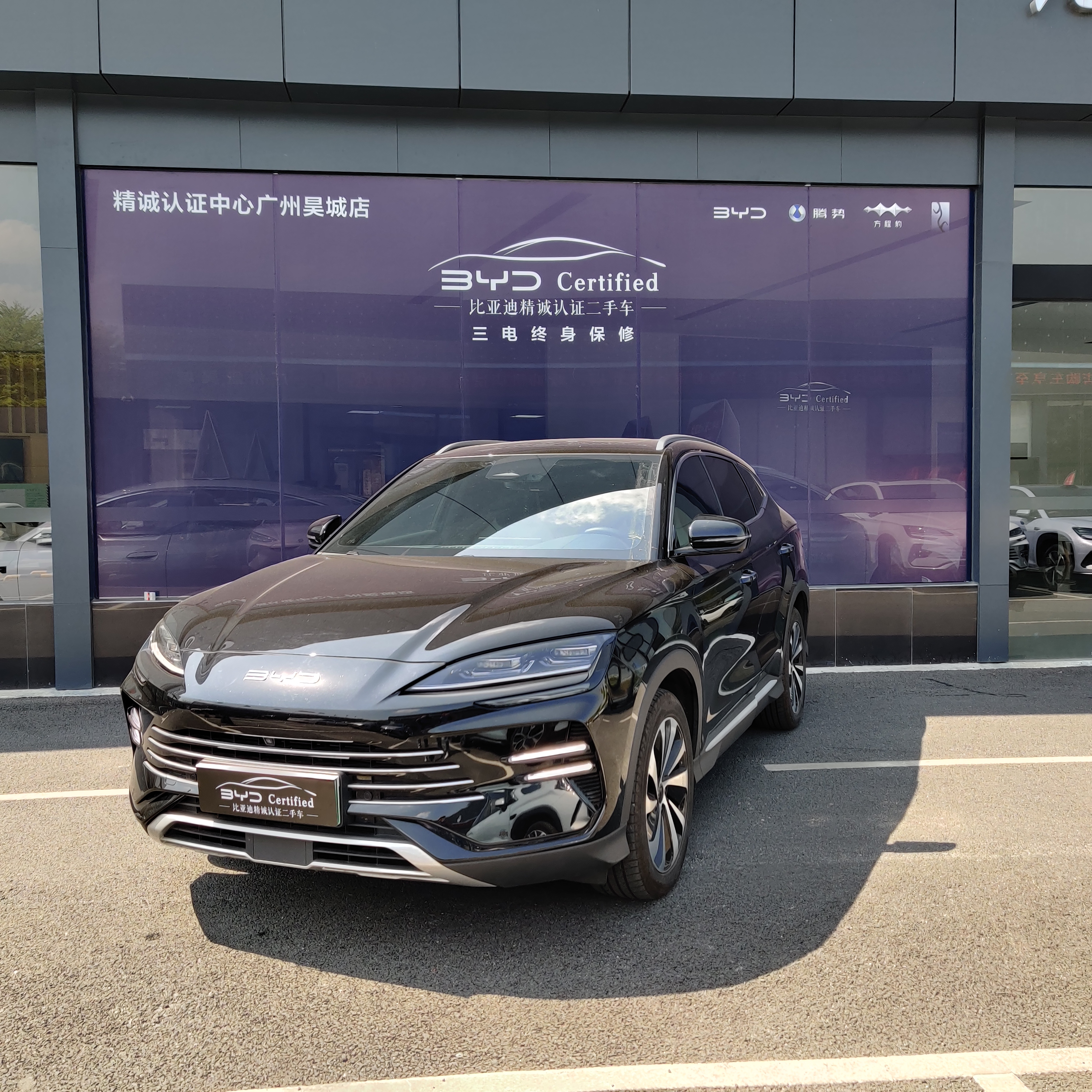 BYD Song Plus New Energy 2024 car image 