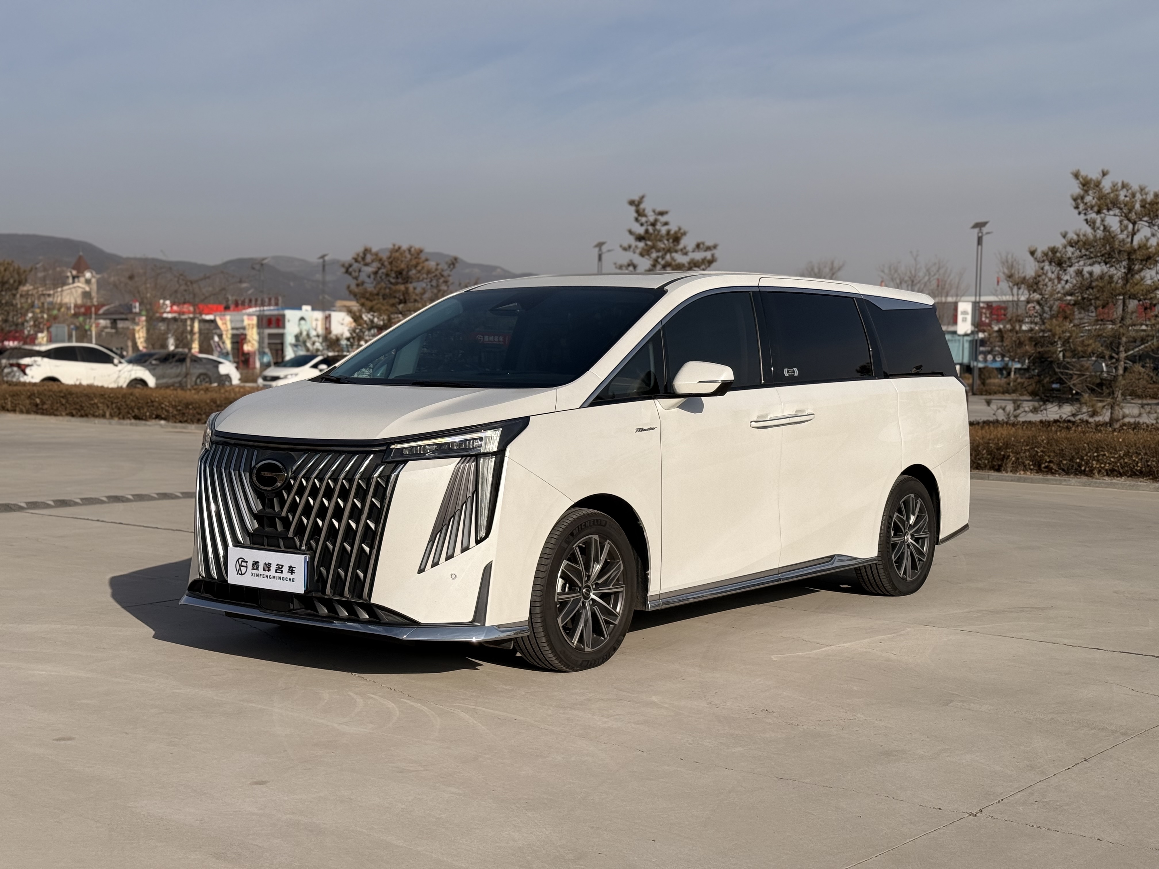 GAC Trumpchi M8 2024 GAC Trumpchi M8 2024 car image