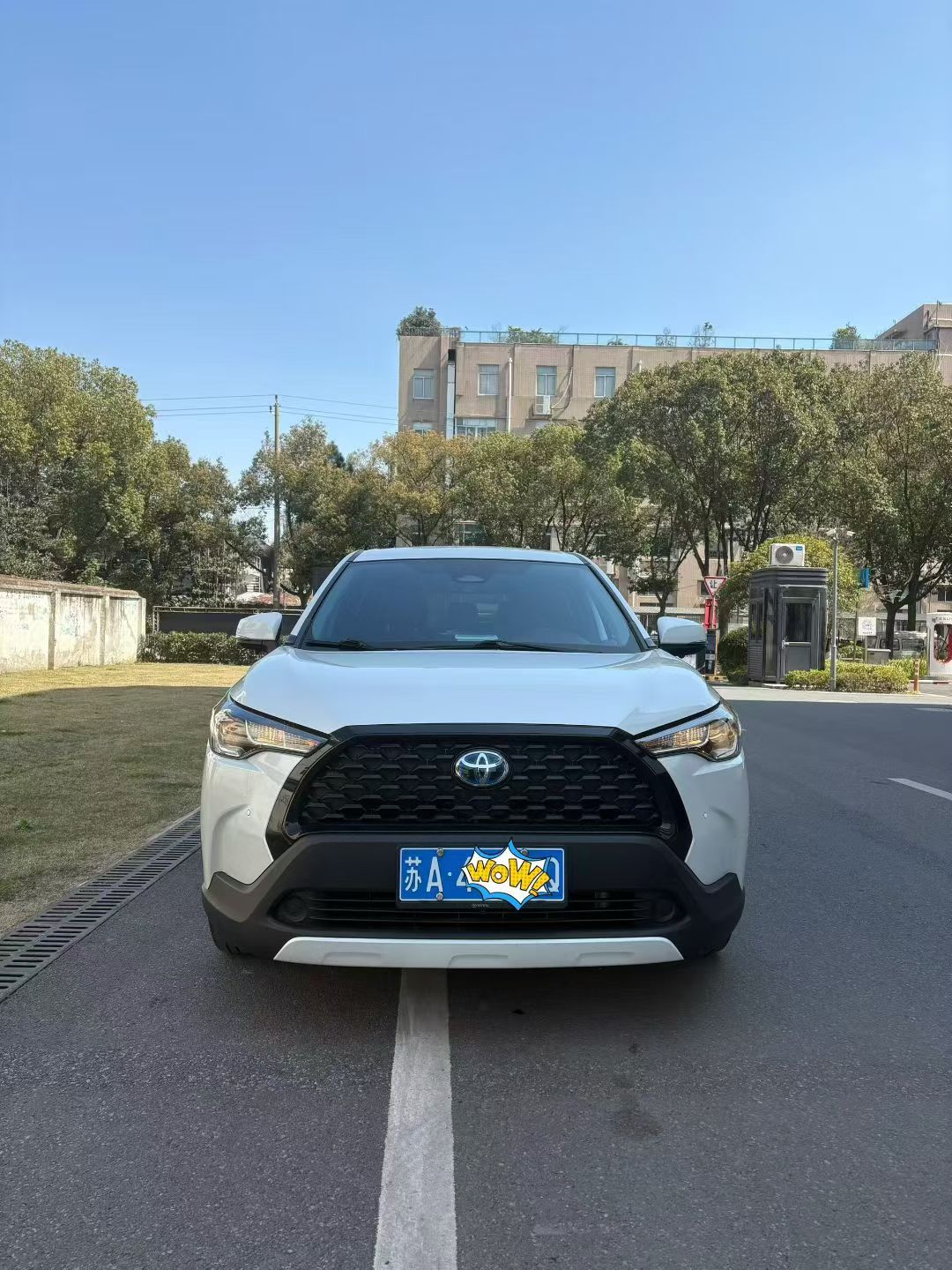 Toyota Corolla Cross 2024 汽车图片 