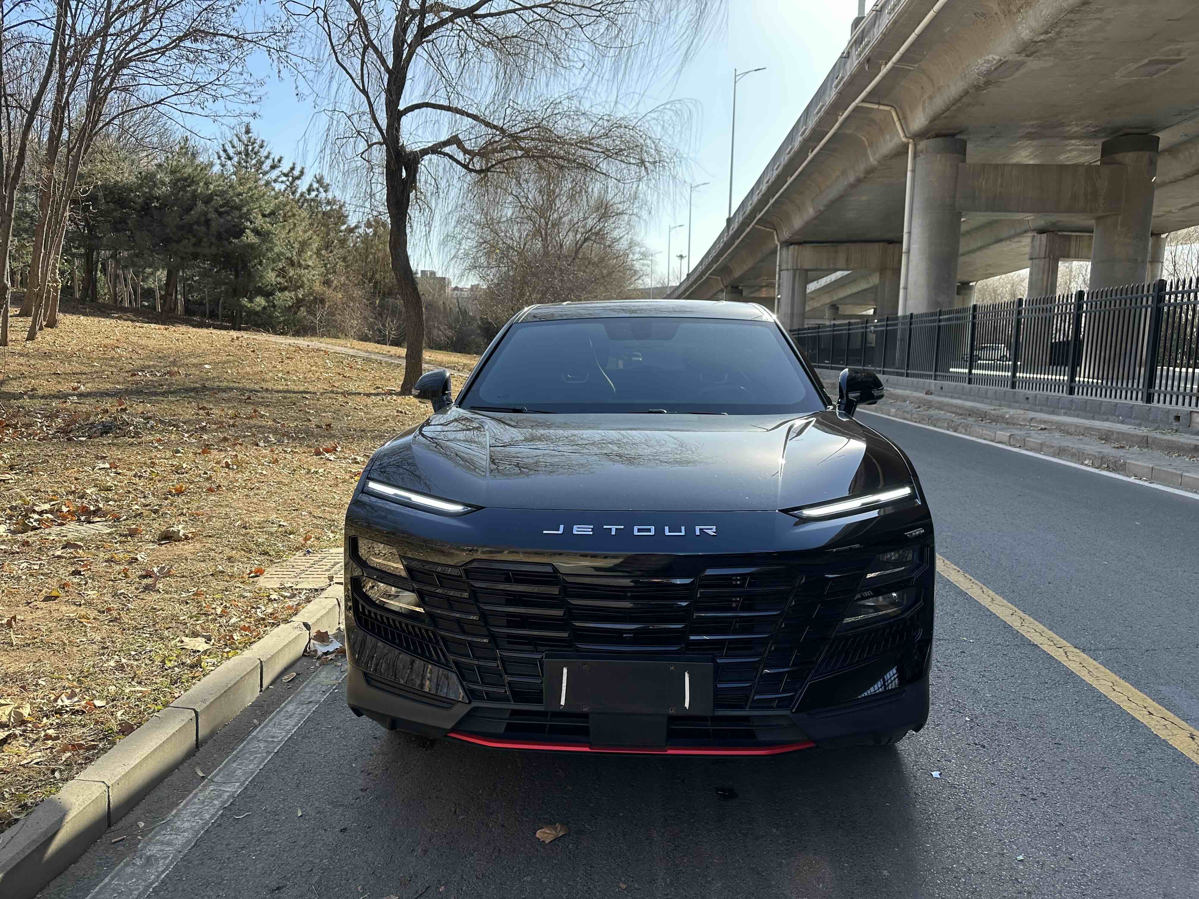 Jetour Shanhai Dashing 2023 汽车图片 