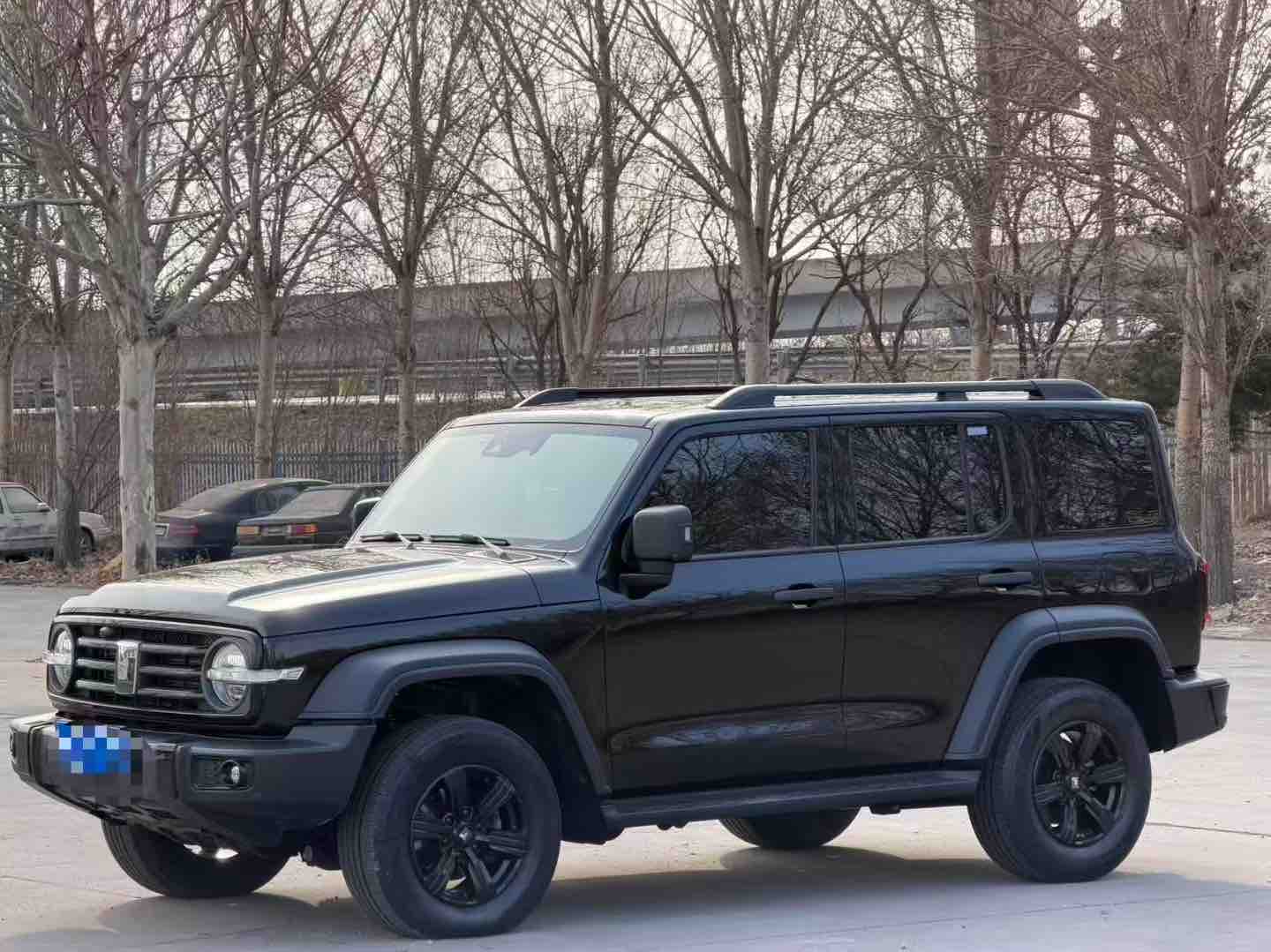 Tank 300 2023 汽车图片 