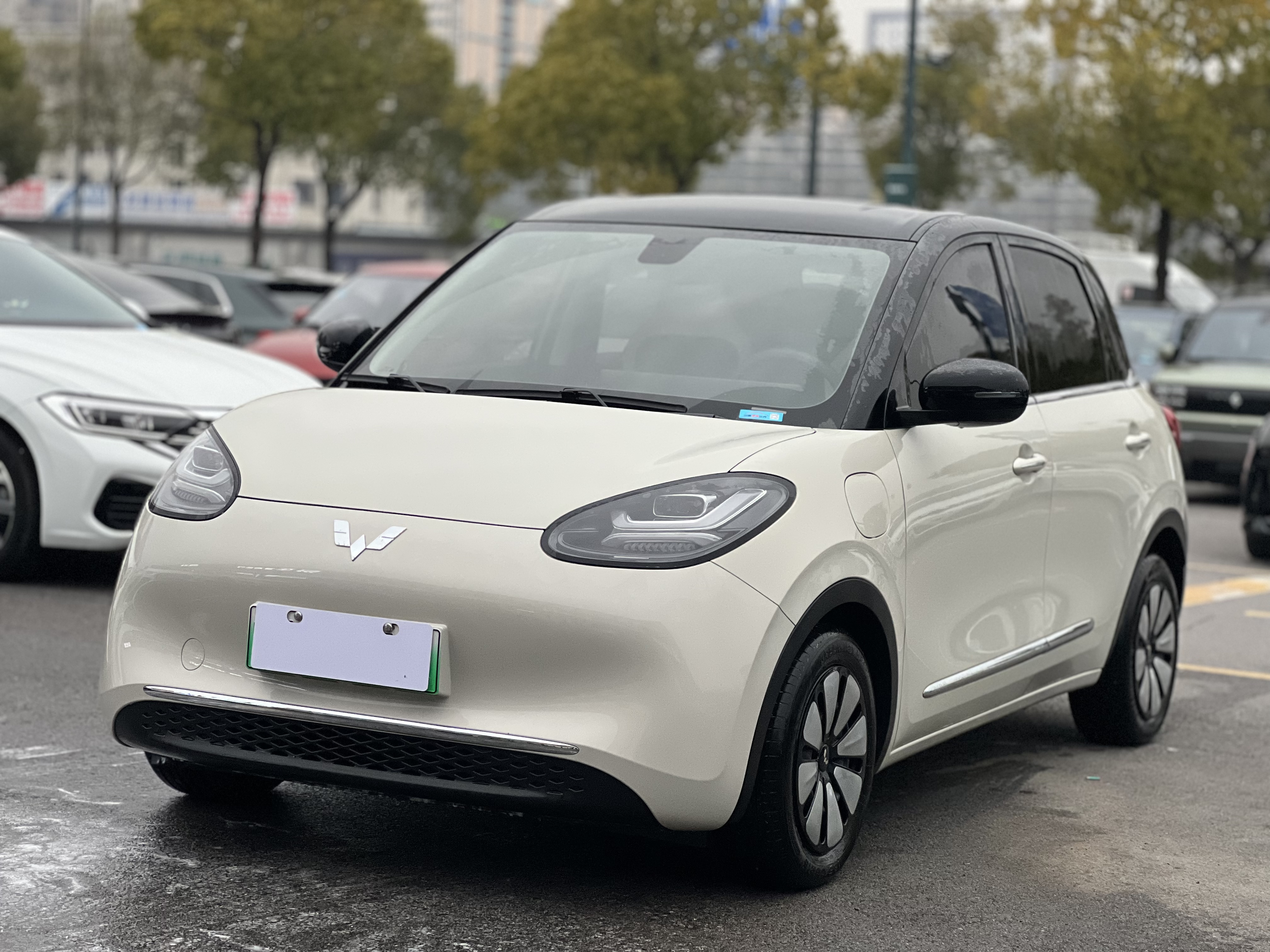 Wuling Binguo 2024 汽车图片 