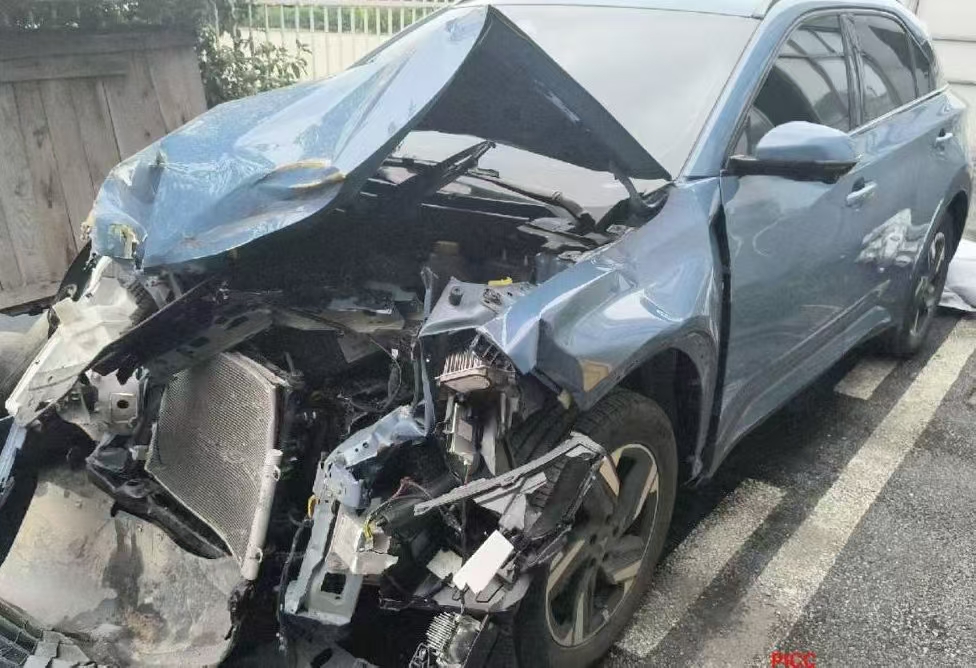 Neta X 2024 汽车图片 