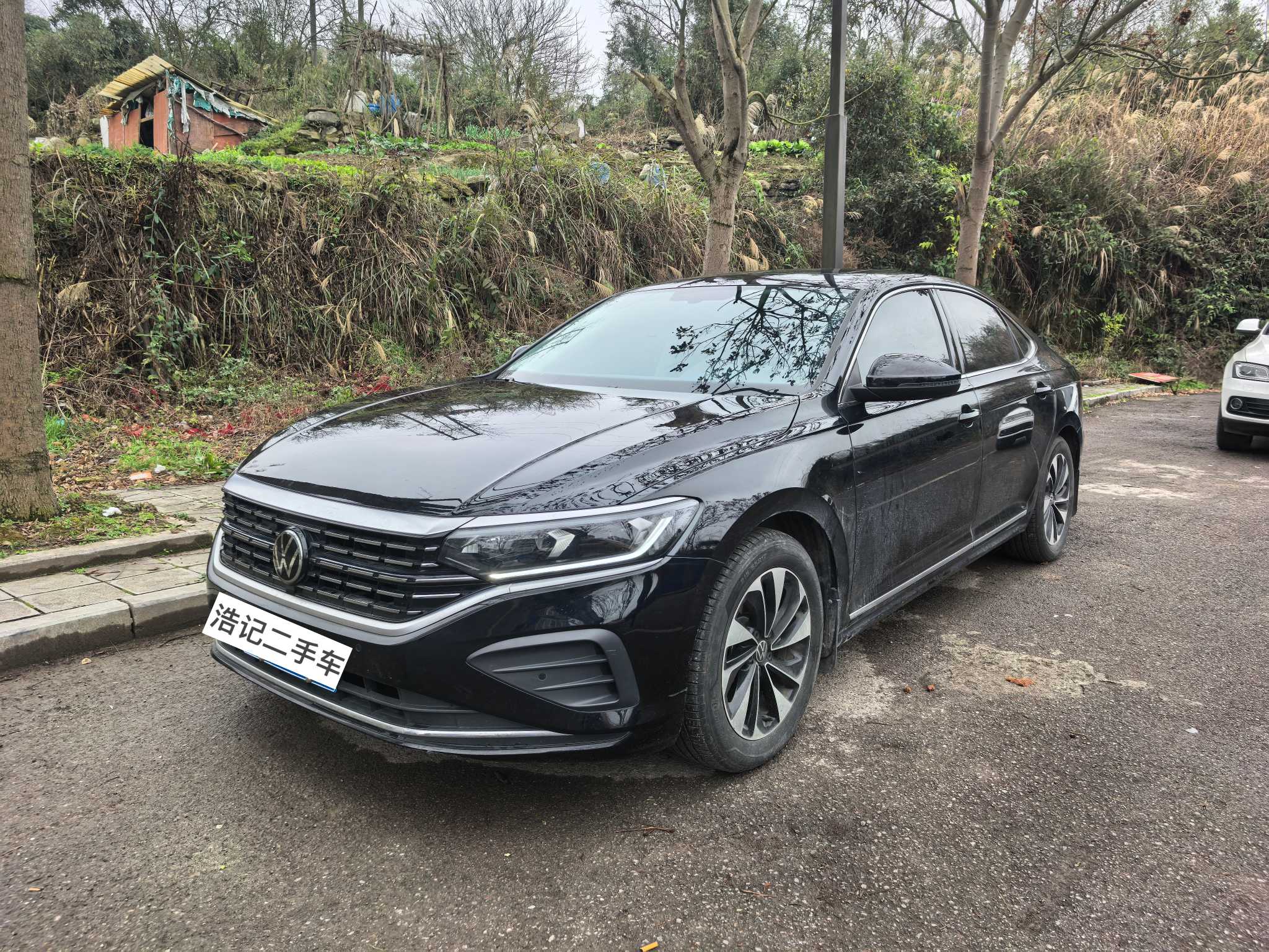 Volkswagen Passat 2024 car image 