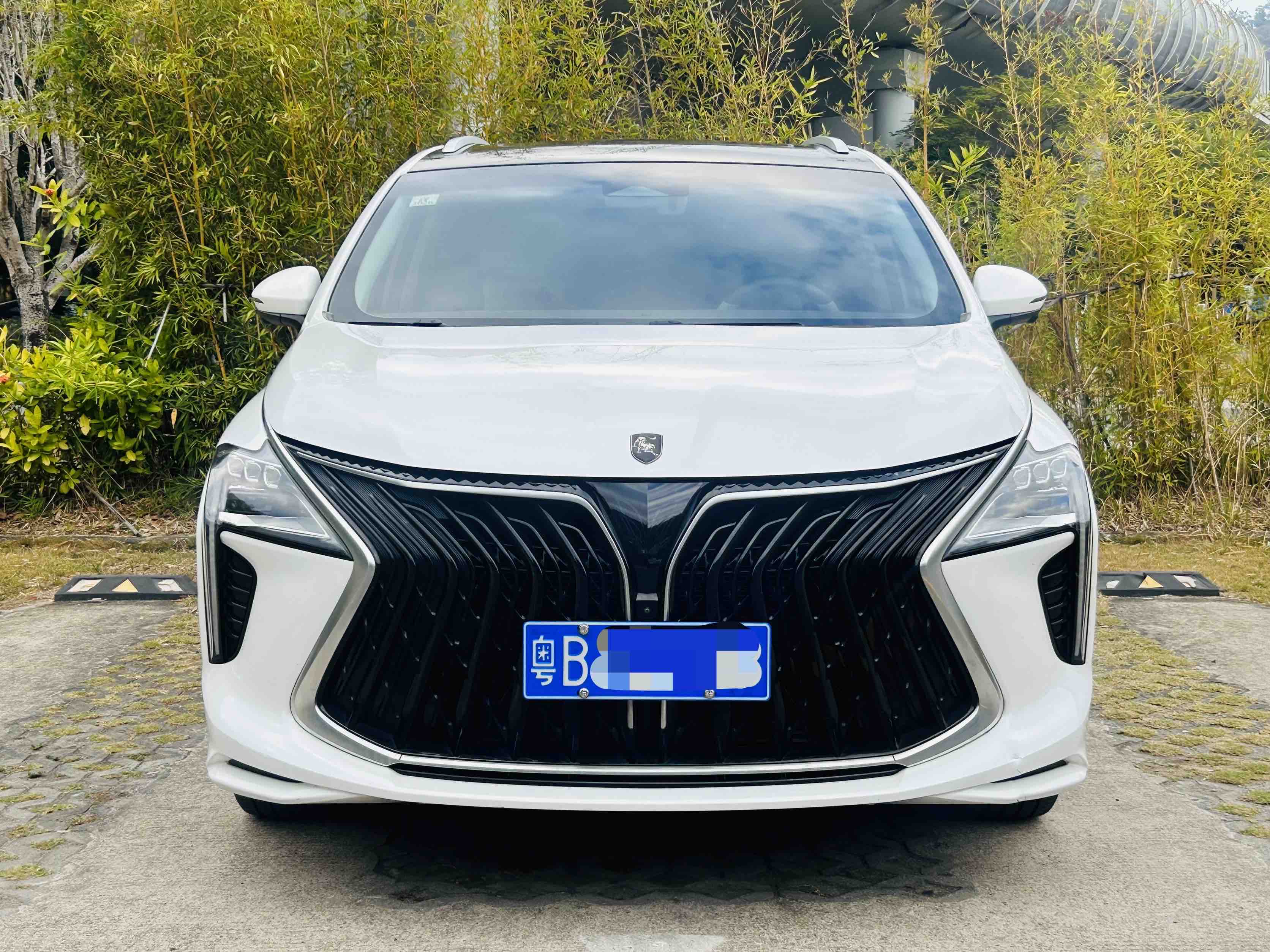 Forthing Yacht 2024 汽车图片 