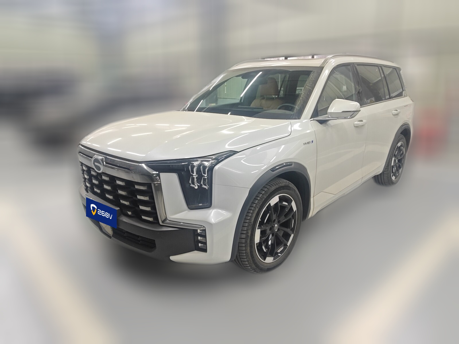 GAC Trumpchi ES9 2023 GAC Trumpchi ES9 2023 car image