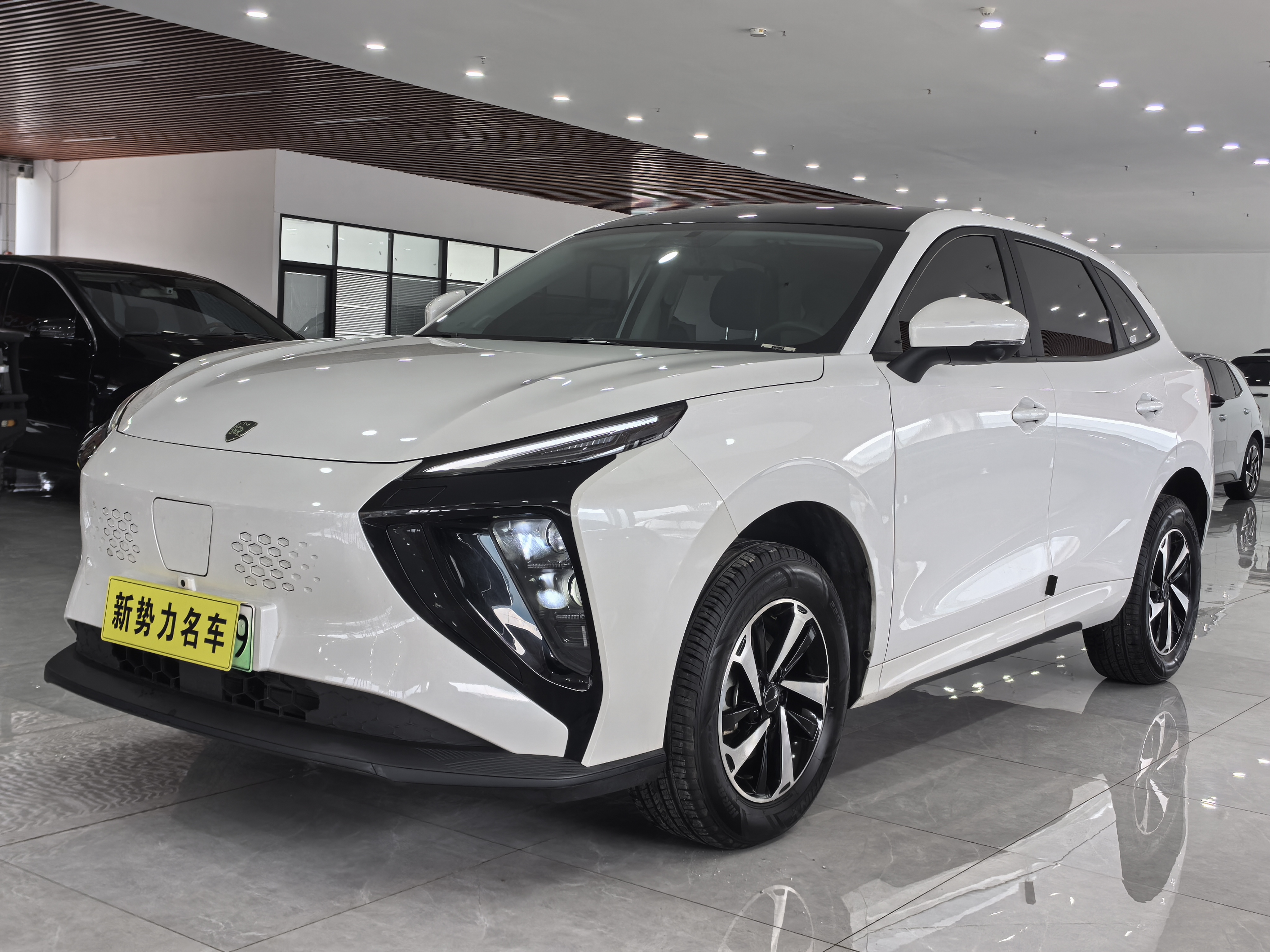 Forthing Thunder 2024 car image 