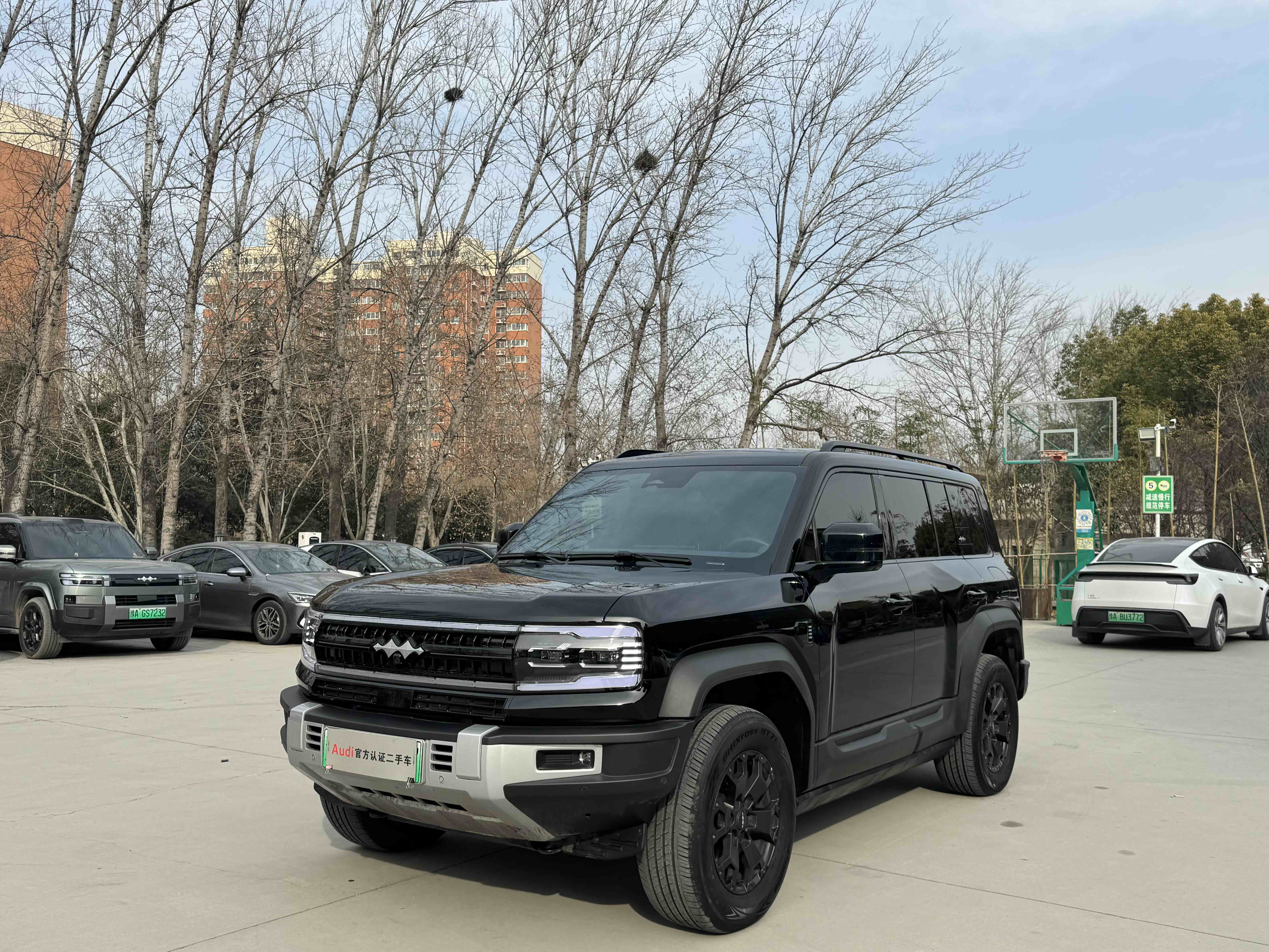 FangChengBao Leopard 5 2024 car image 