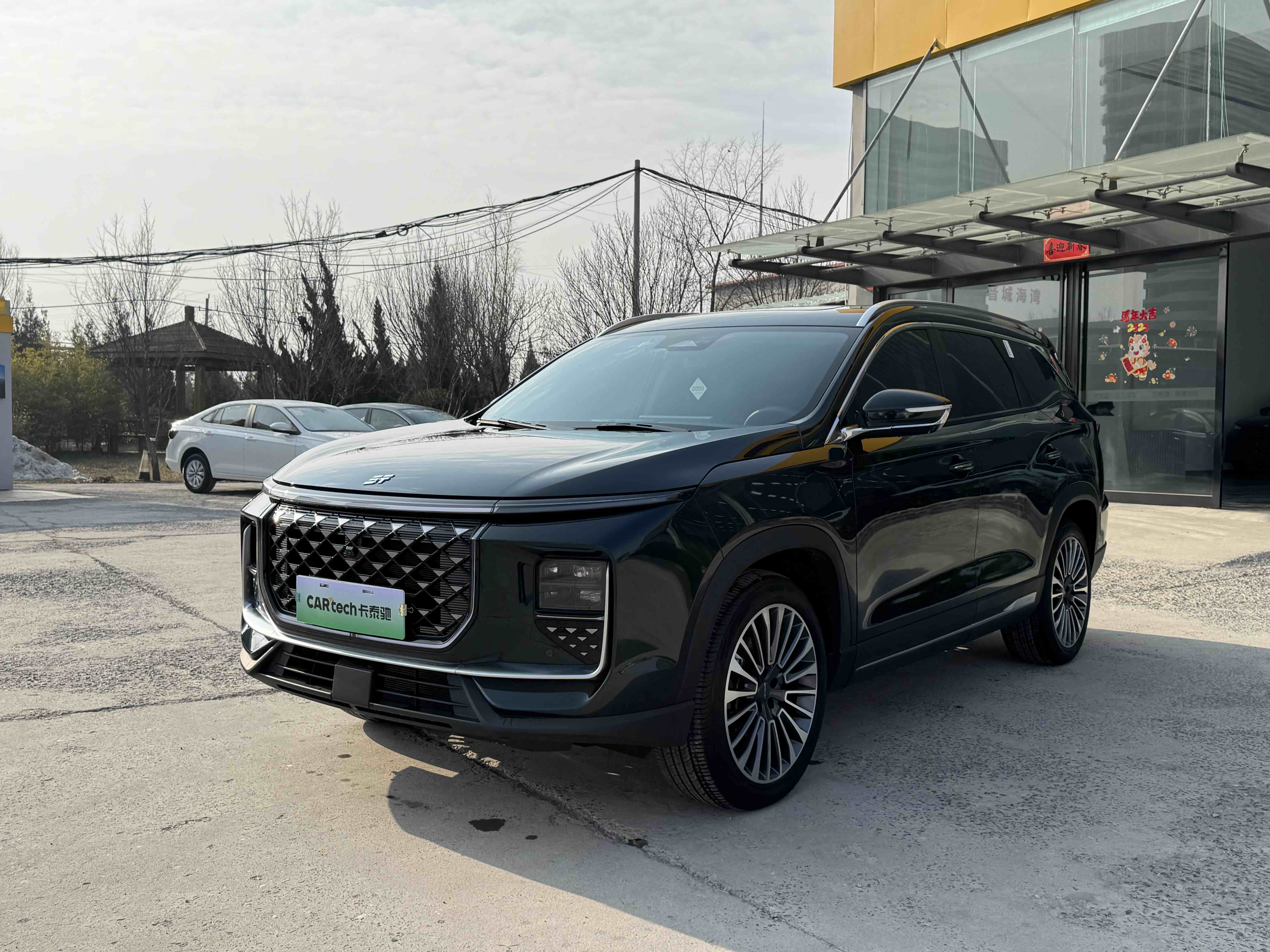 Jetour Shanhai L9 2024 汽车图片 