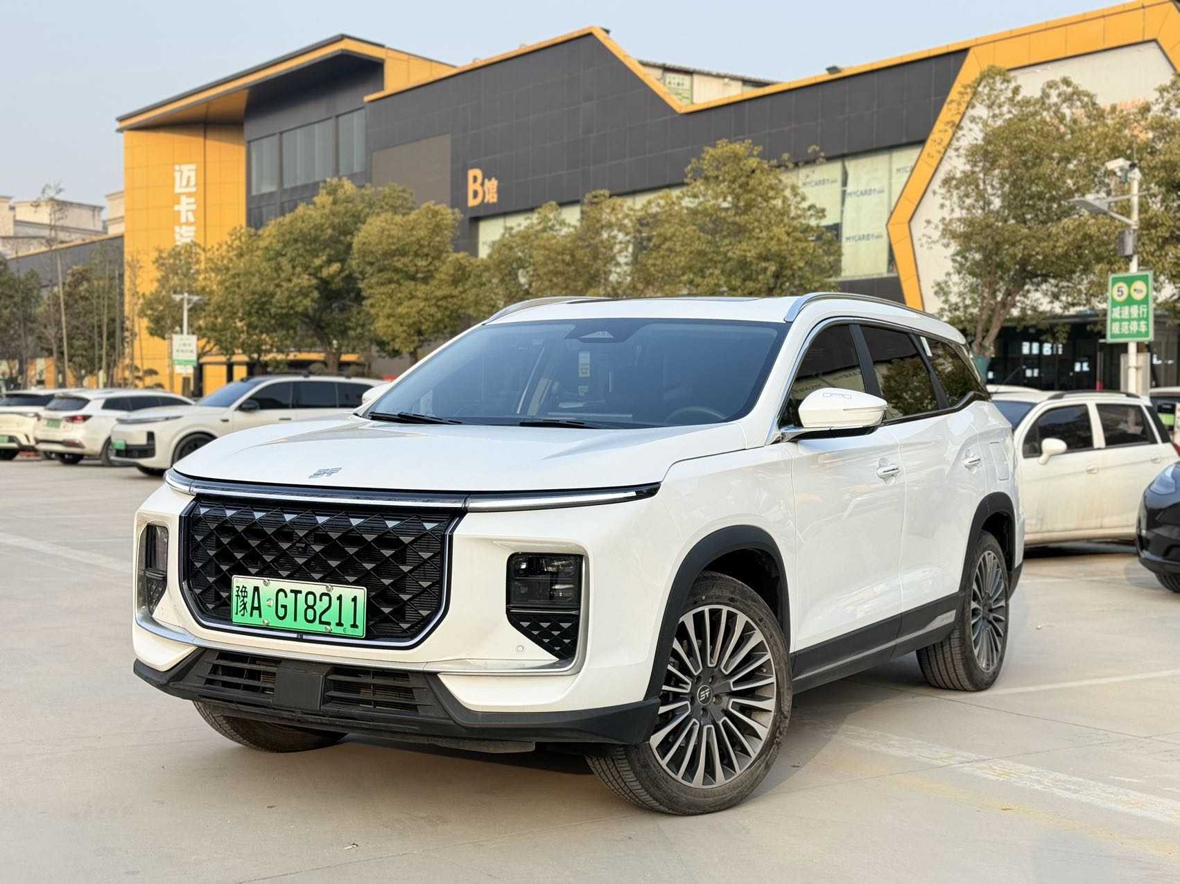 Jetour Shanhai L9 2025 汽车图片 