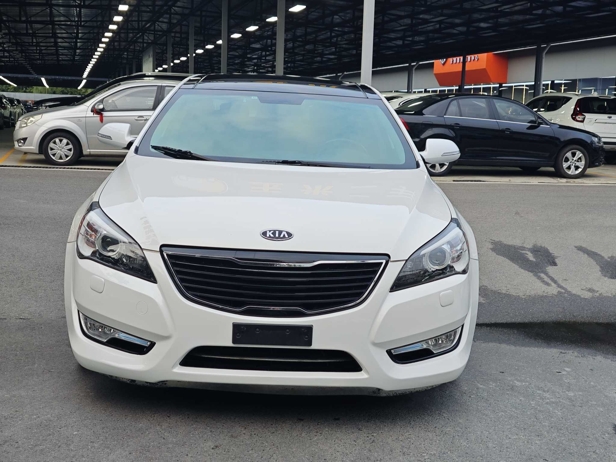 Kia Cadenza 2013 汽车图片 