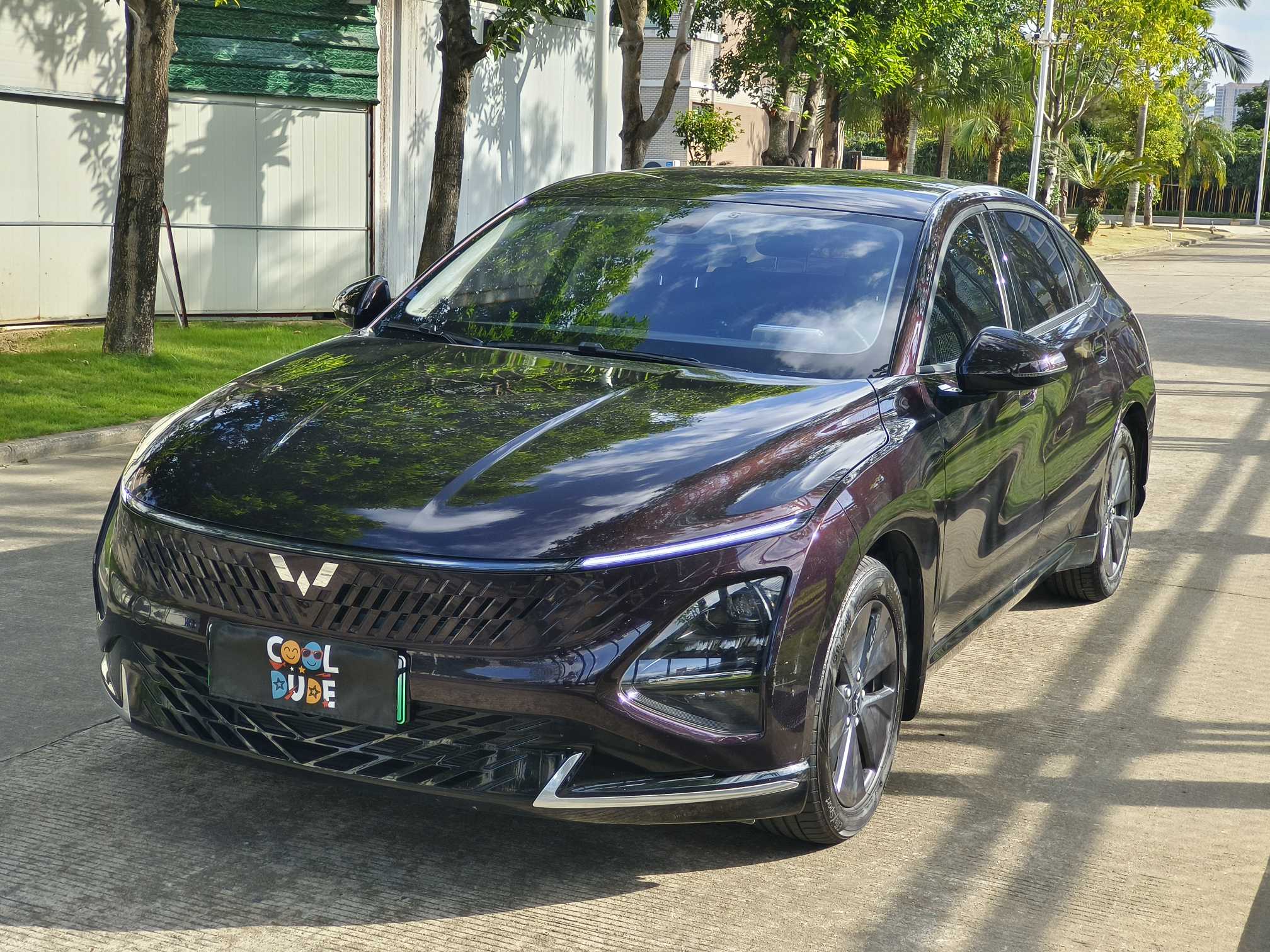 Wuling Starlight 2024 汽车图片 