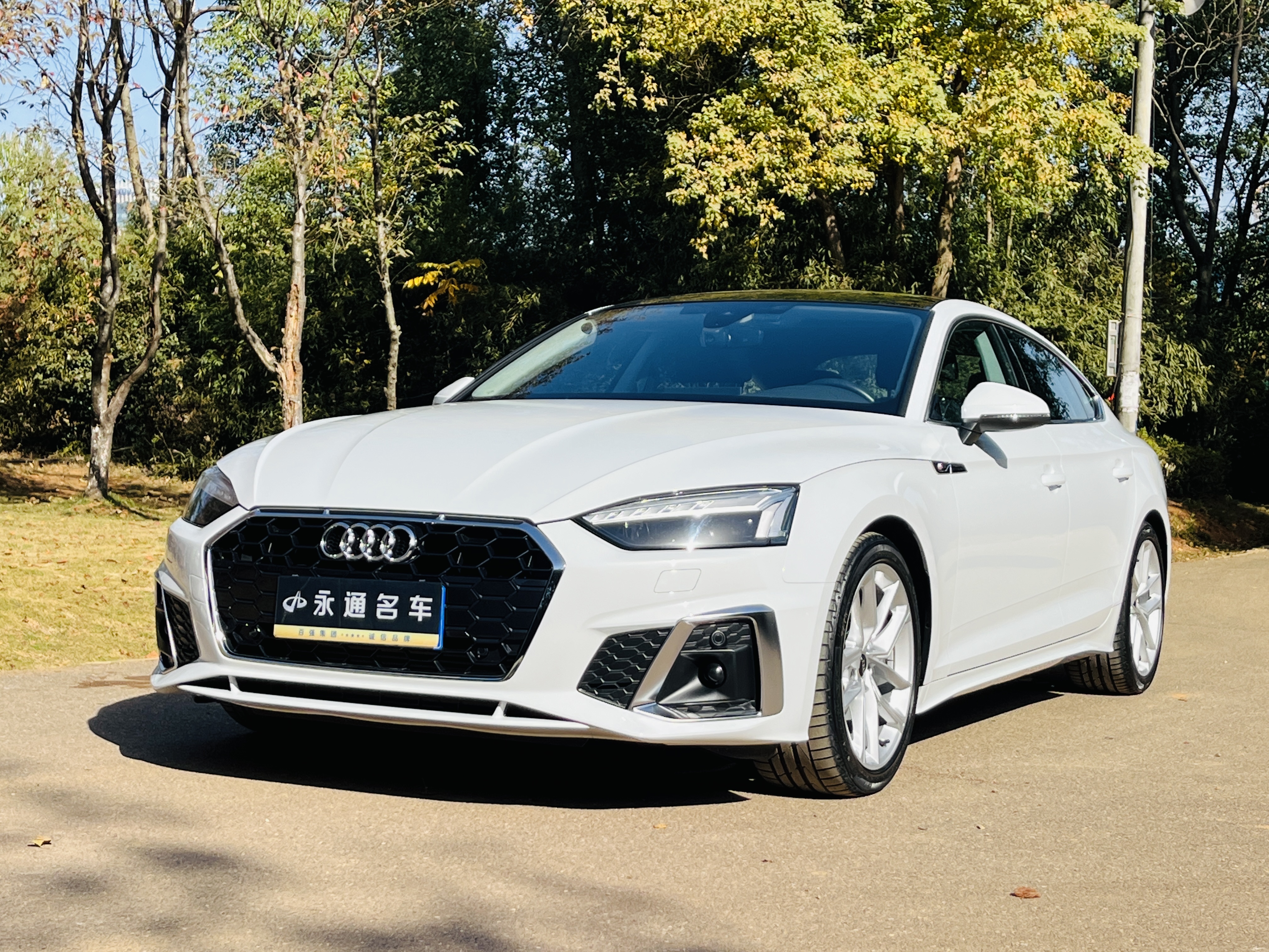 Audi A5 (Imported) 2024 car image 