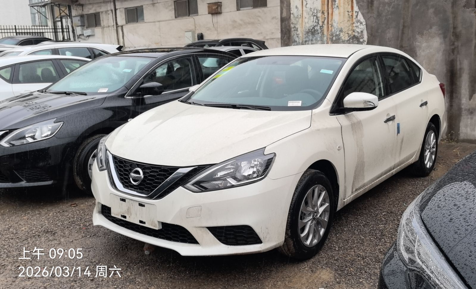 Nissan Sylphy 2026 汽车图片 