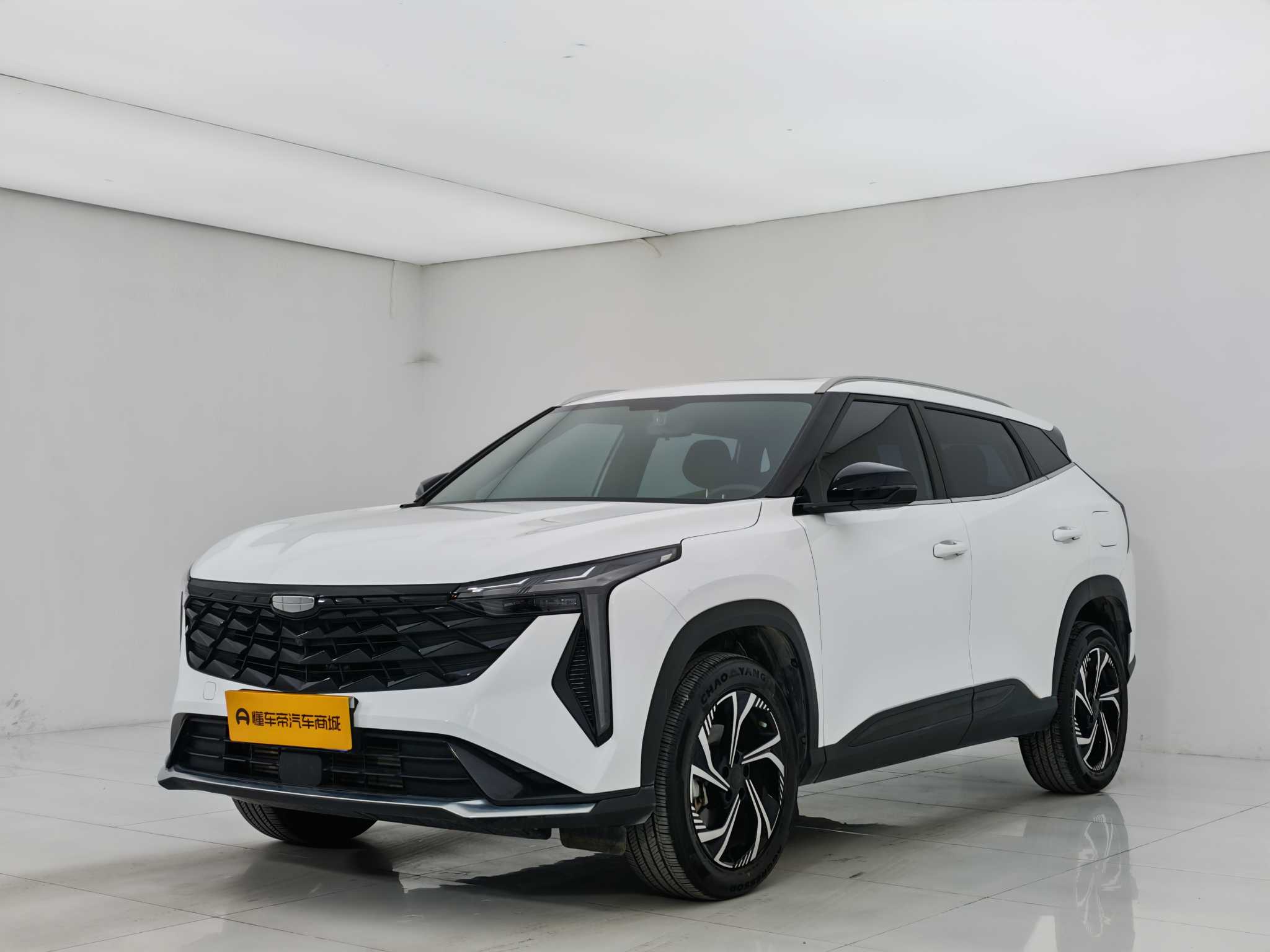 GEELY Boyue 2024 汽车图片 