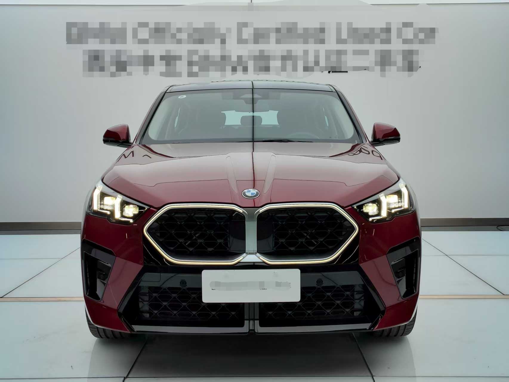 BMW X2 2024 car image 