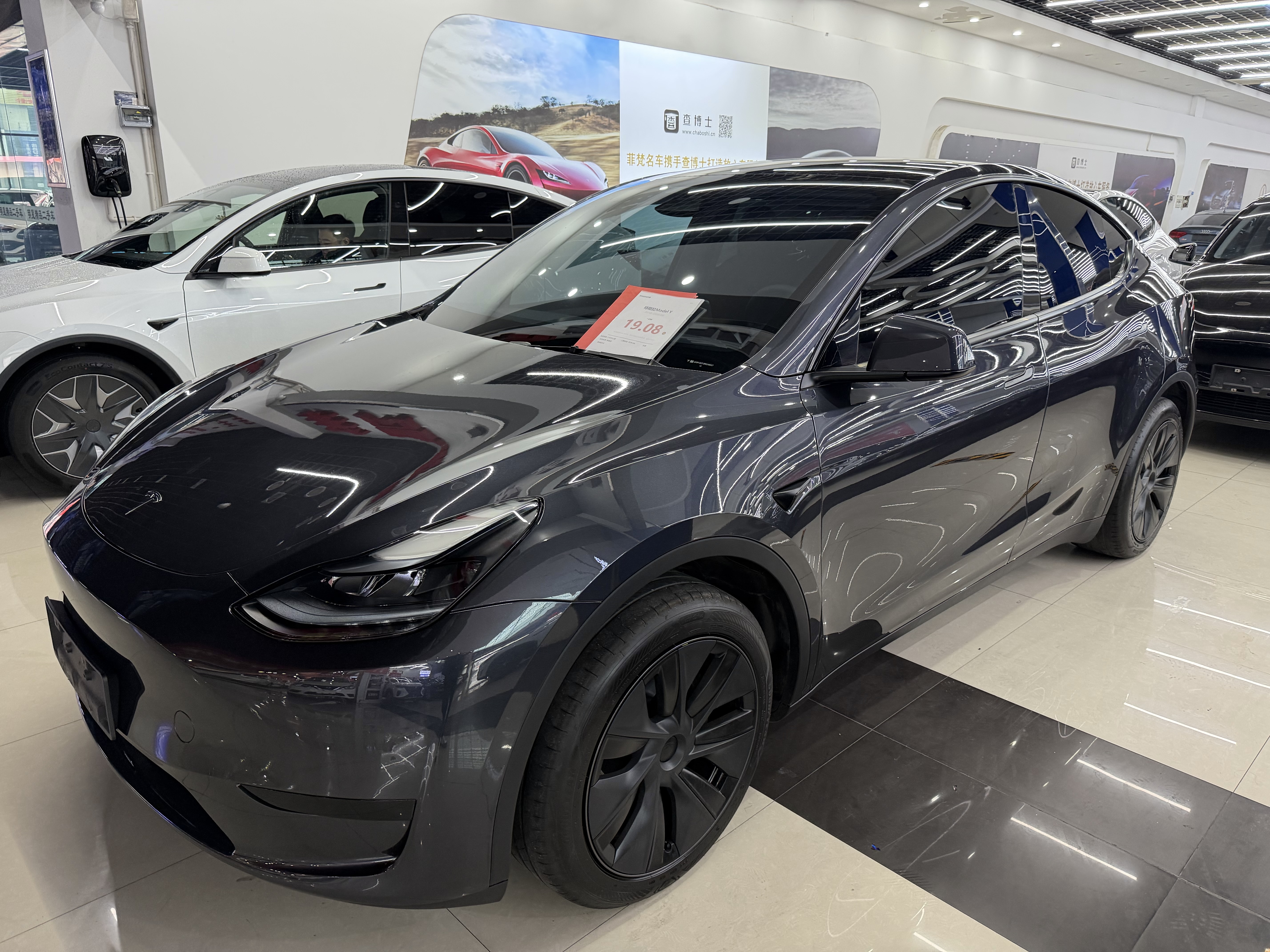Tesla Model Y 2024 car image 