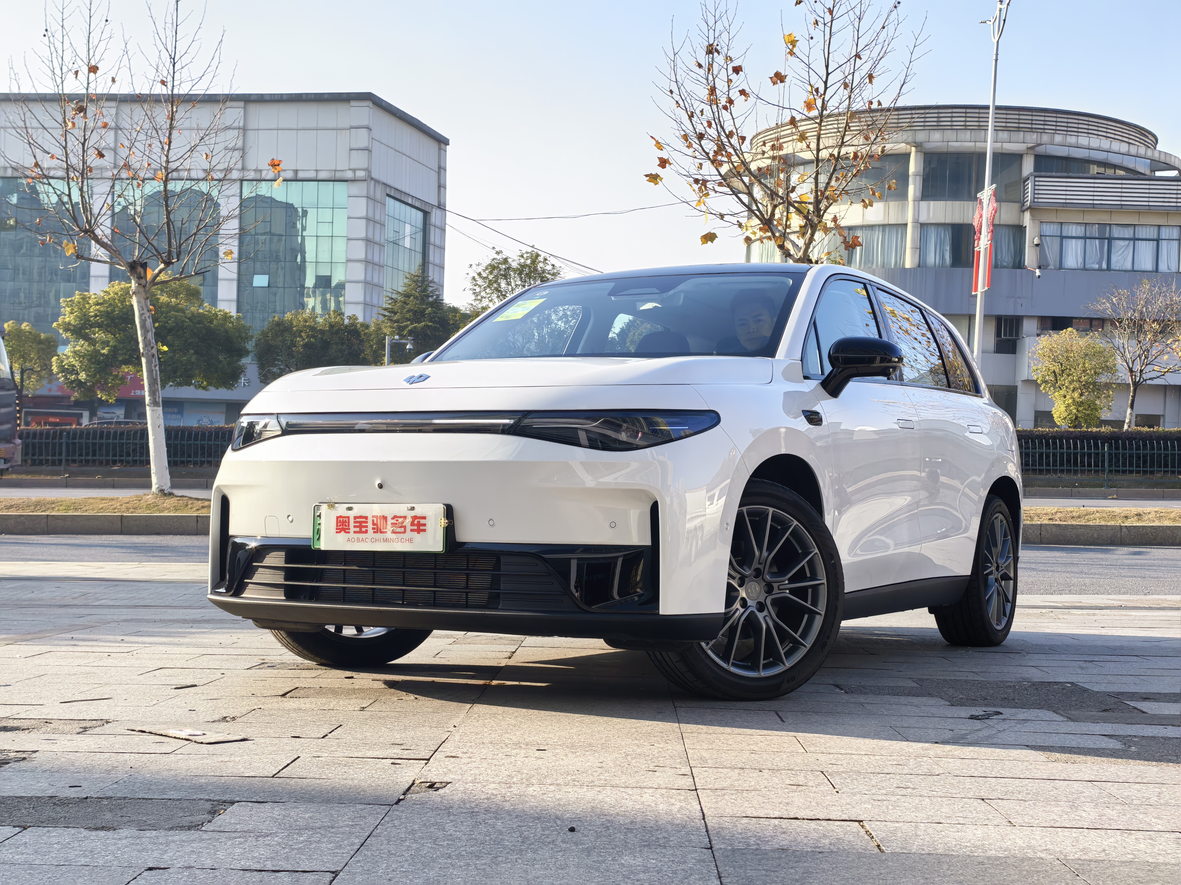 Leapmotor C10 2026 汽车图片 