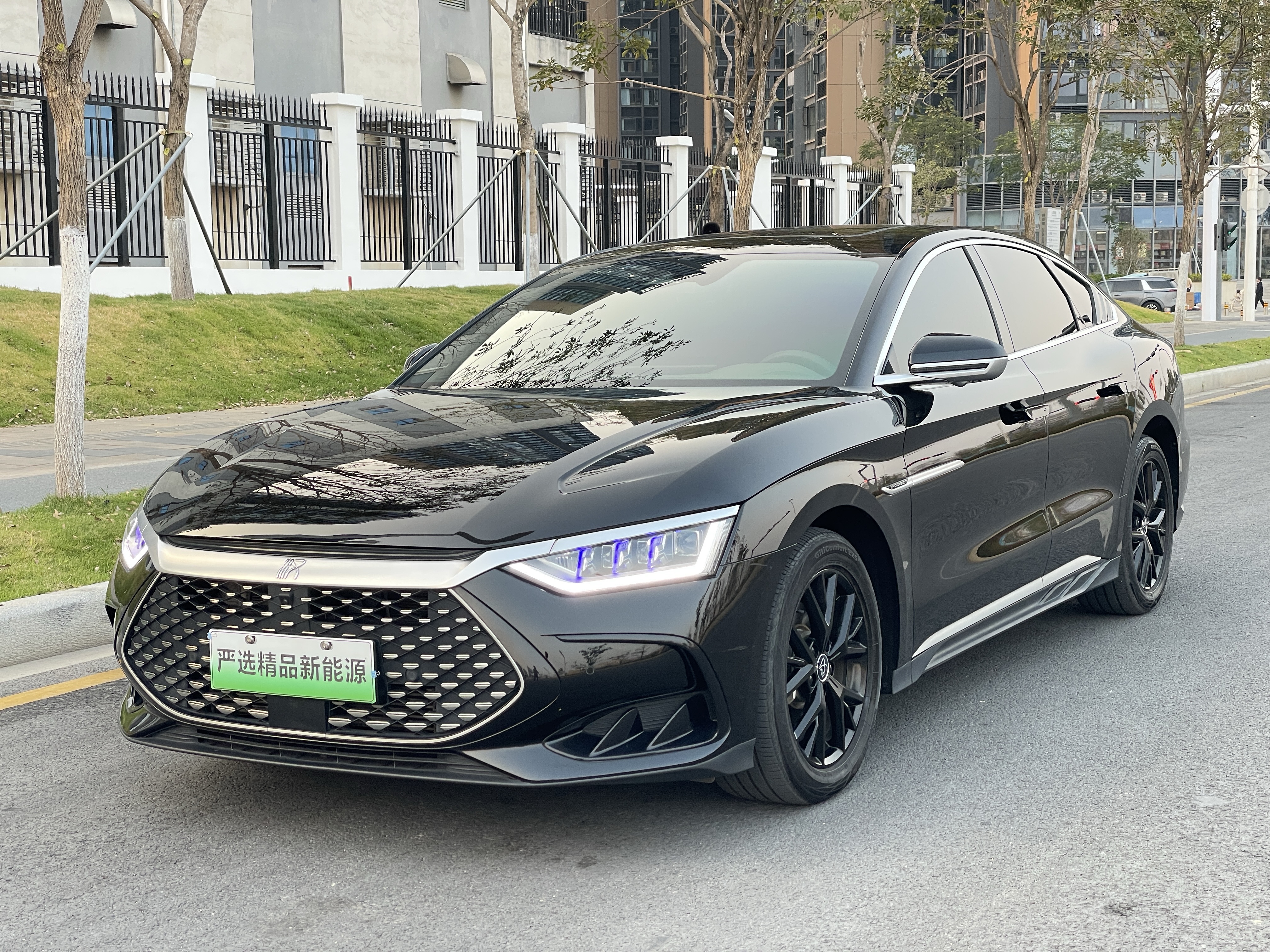 BYD Han 2024 car image 
