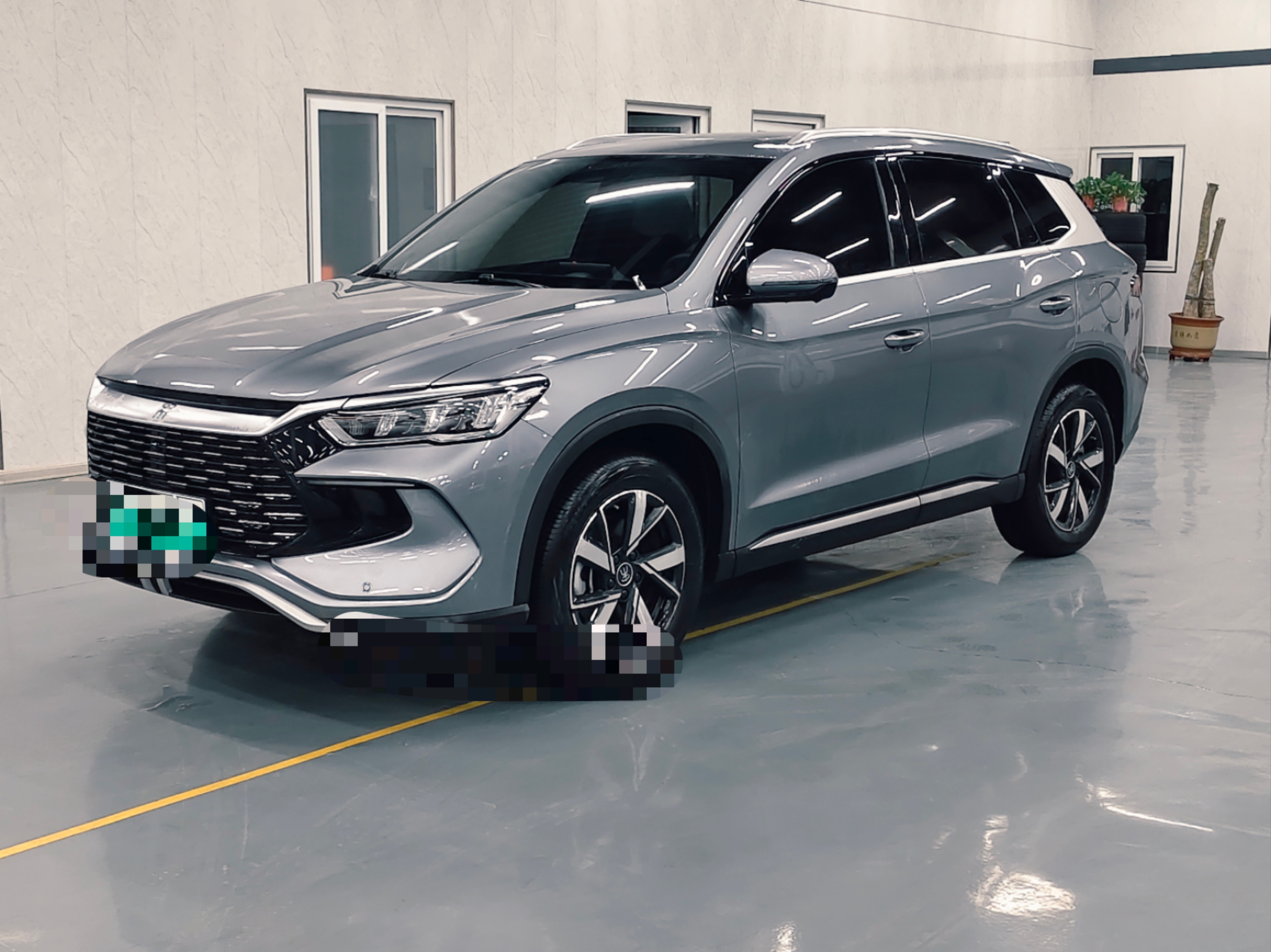 BYD Song Pro New Energy 2024 car image 