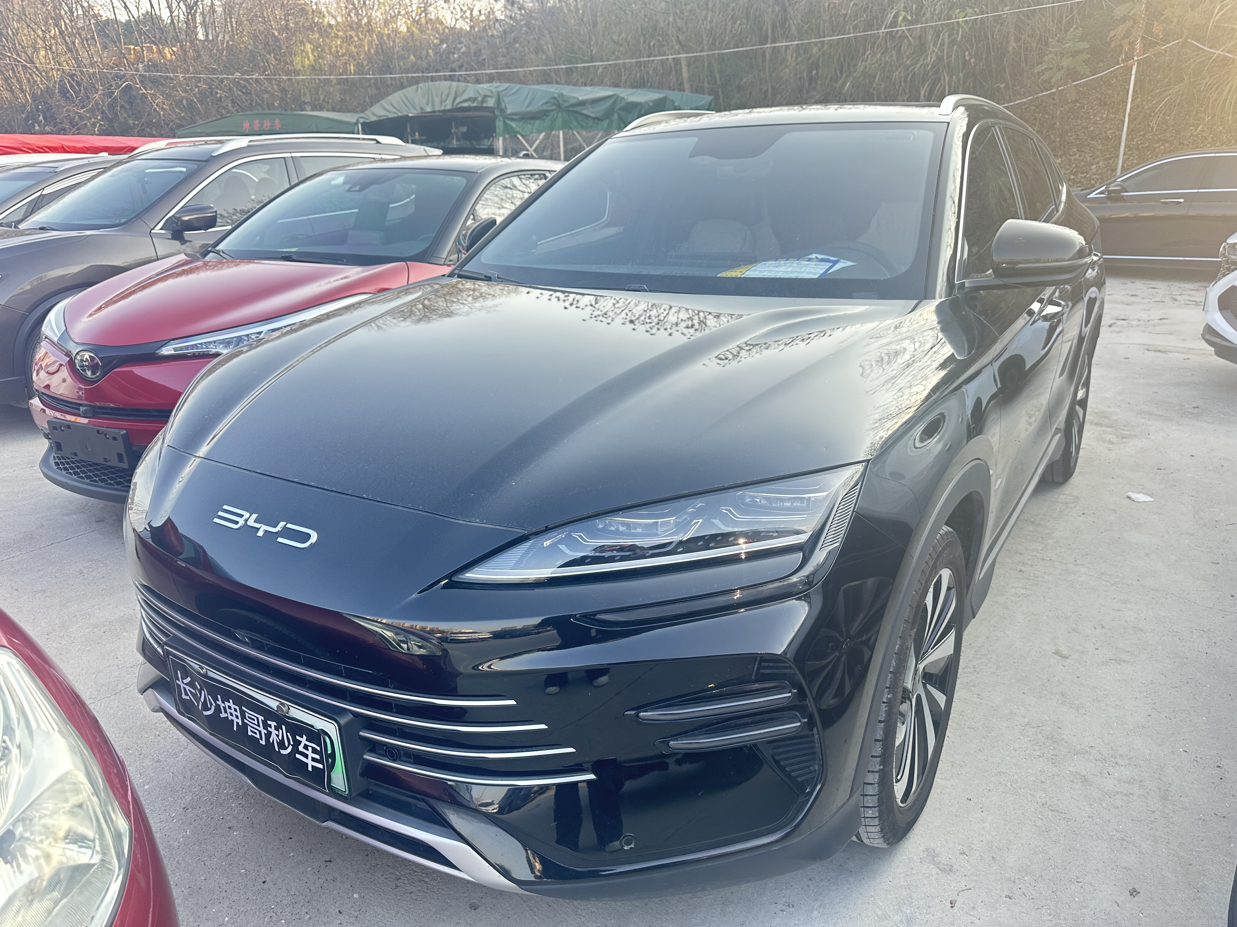 BYD Song Plus New Energy 2024 car image 