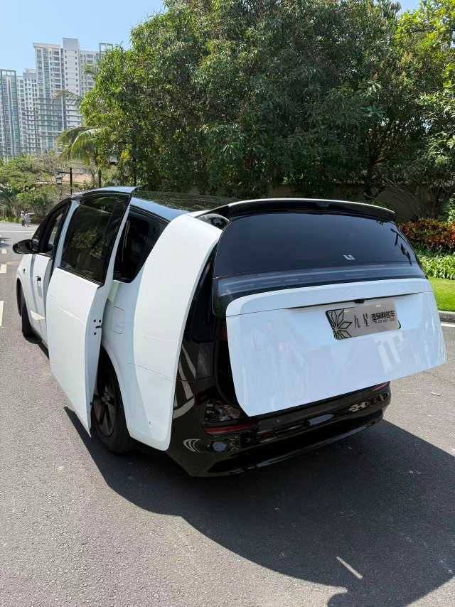 Li Mega 2024 汽车图片 