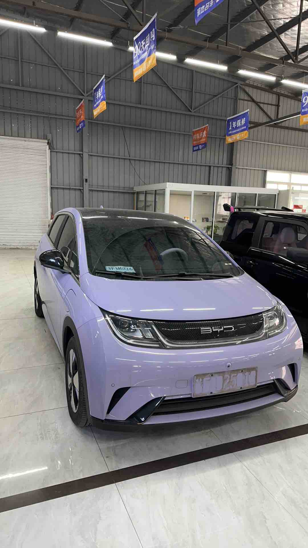 BYD Dolphin 2024 car image 