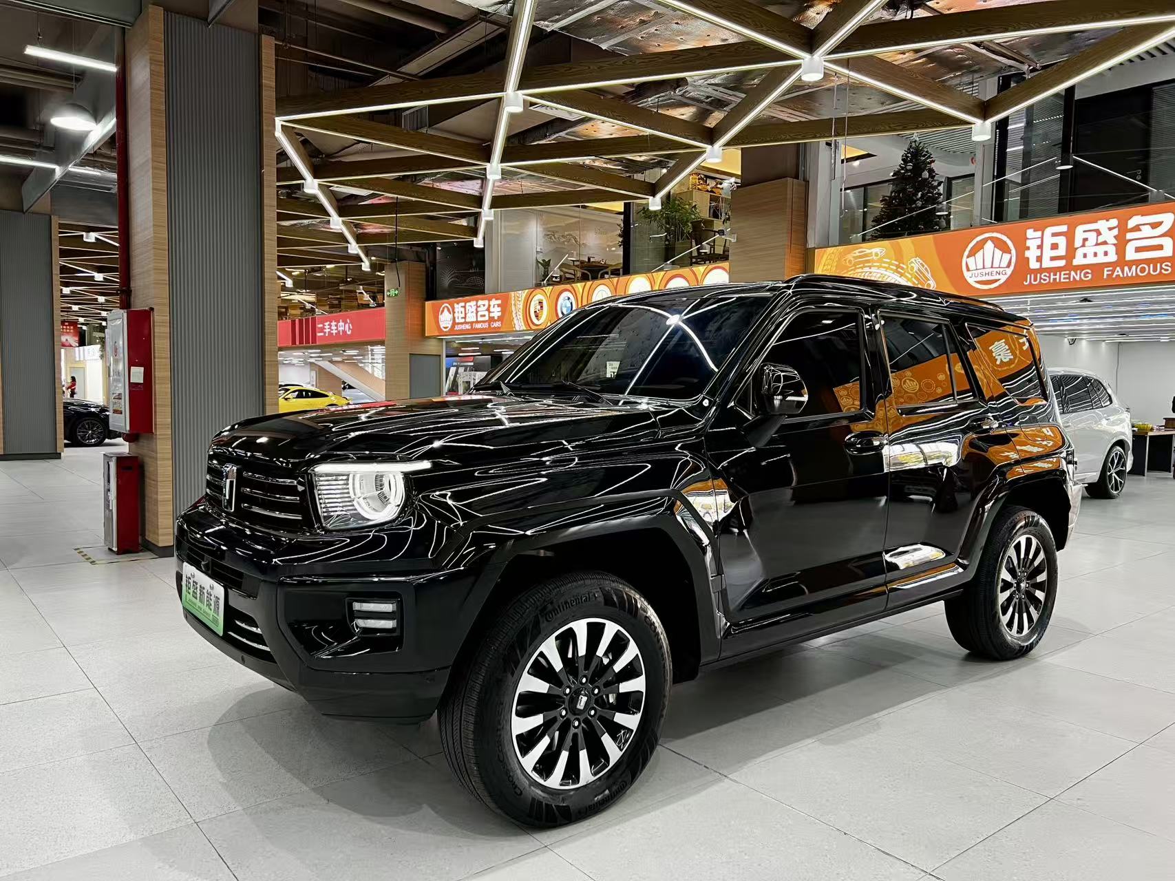 Tank 700 New Energy 2024 Tank 700 New Energy 2024 汽车图片