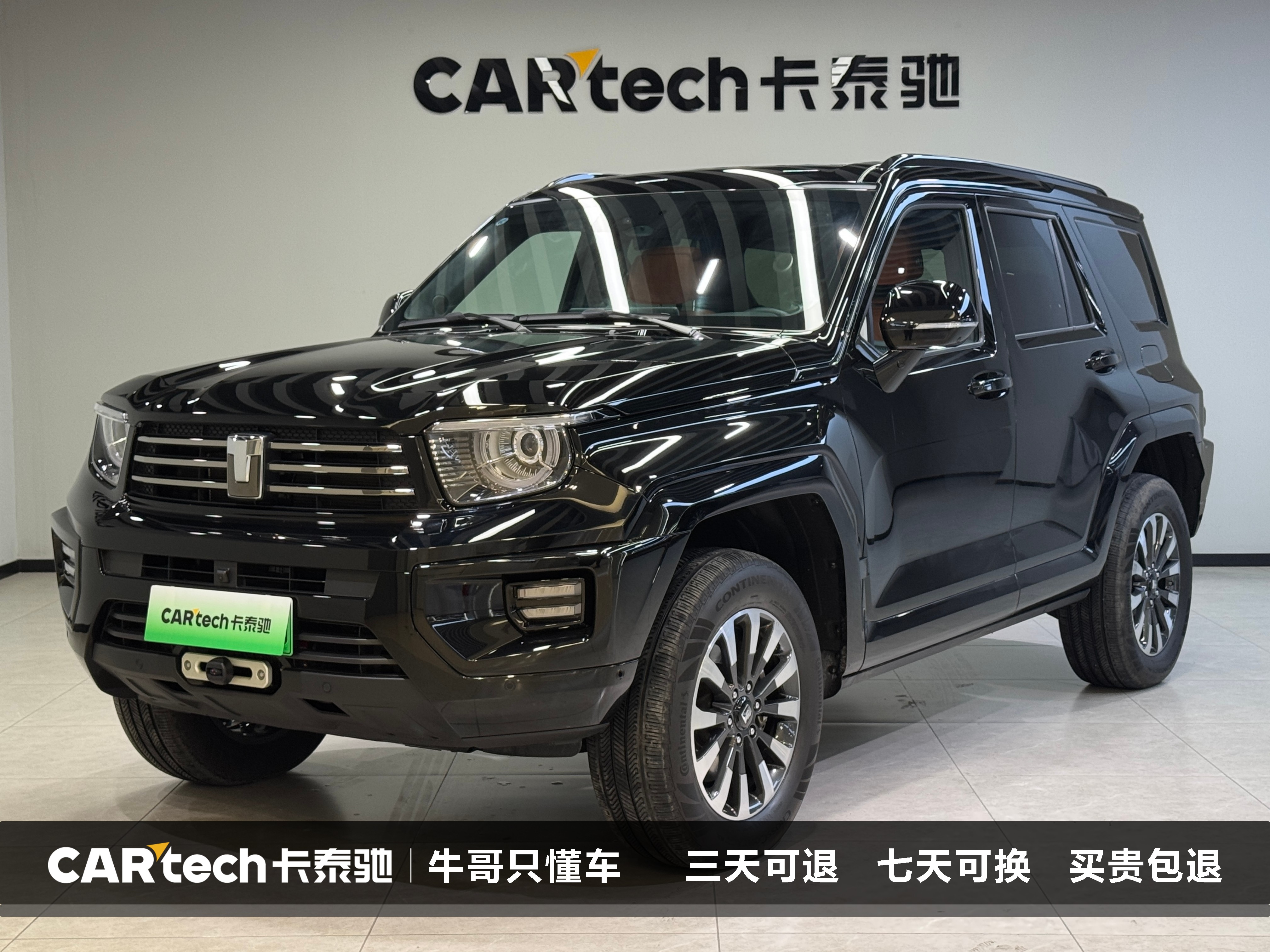 Tank 700 New Energy 2024 Tank 700 New Energy 2024 汽车图片